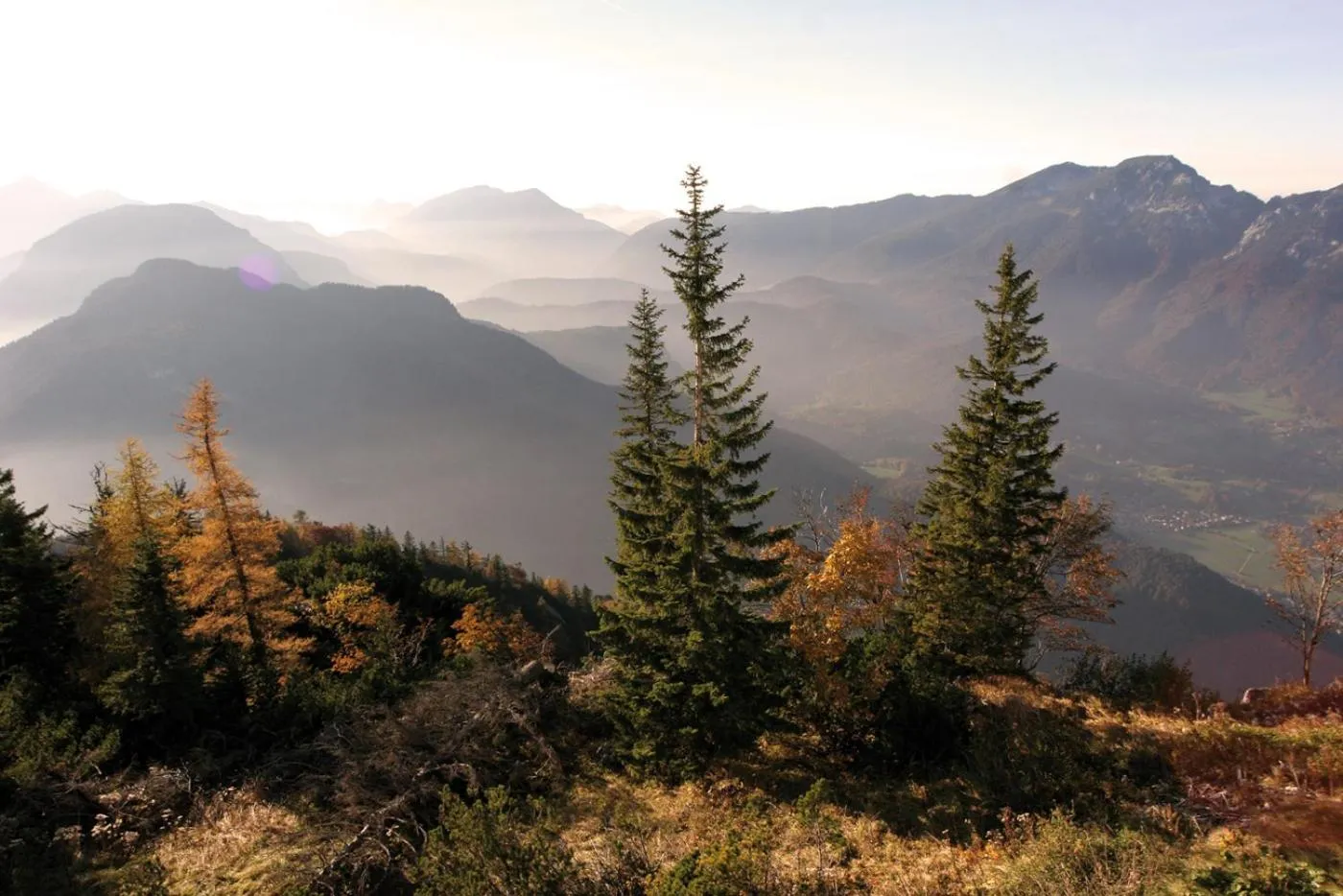 Natural landscape in Pension Almhof Baumgarten