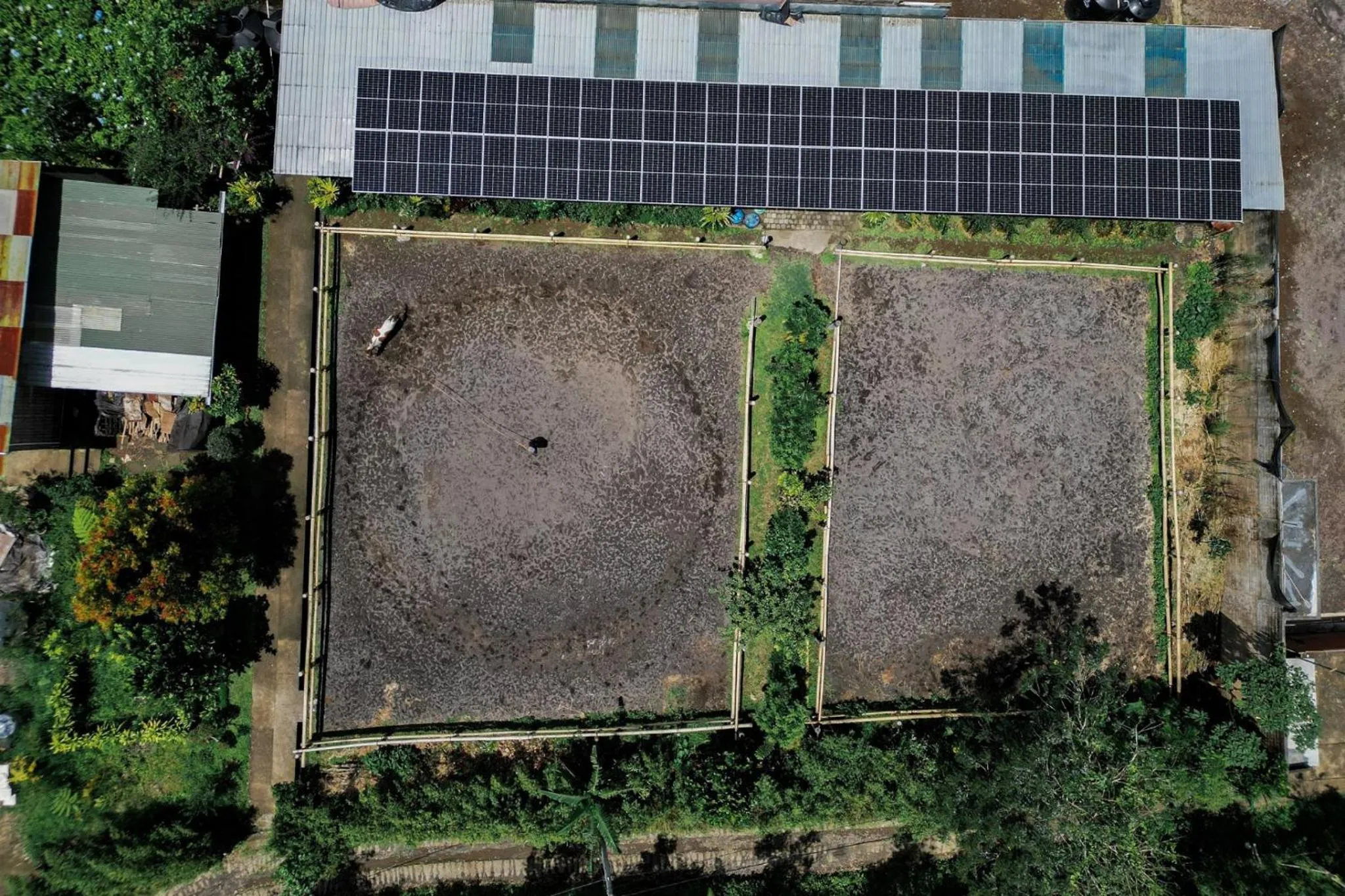 Area and facilities in Munduk Moding Plantation Nature Resort