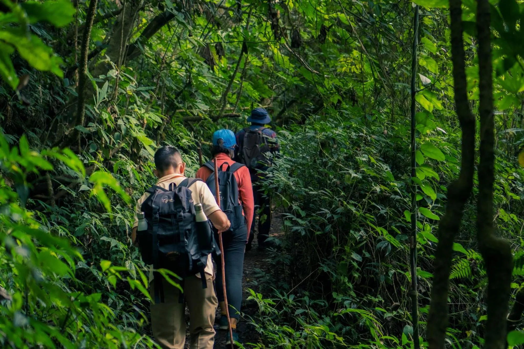 Activities in Munduk Moding Plantation Nature Resort