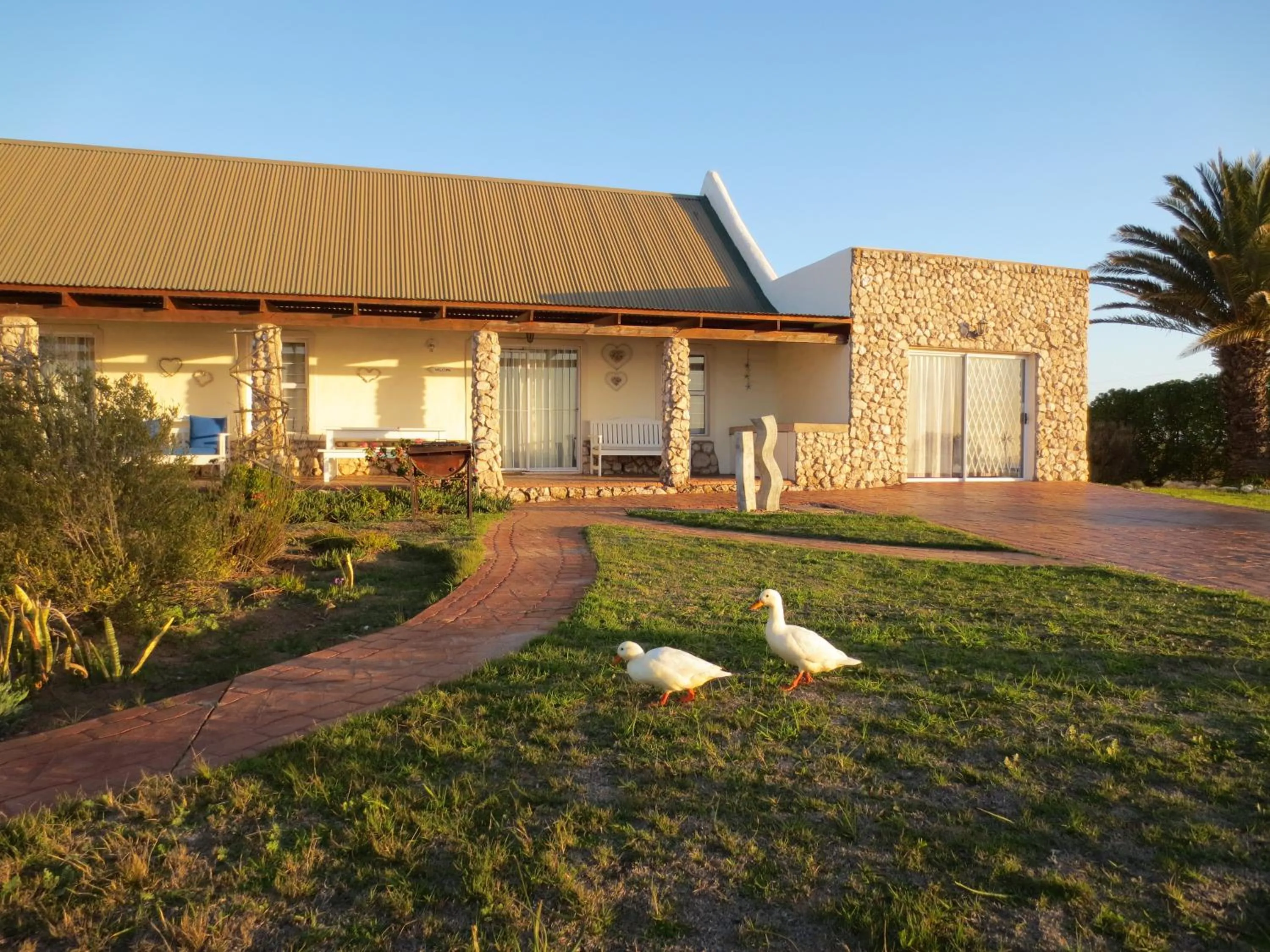 Balcony/Terrace in Masada Guest House