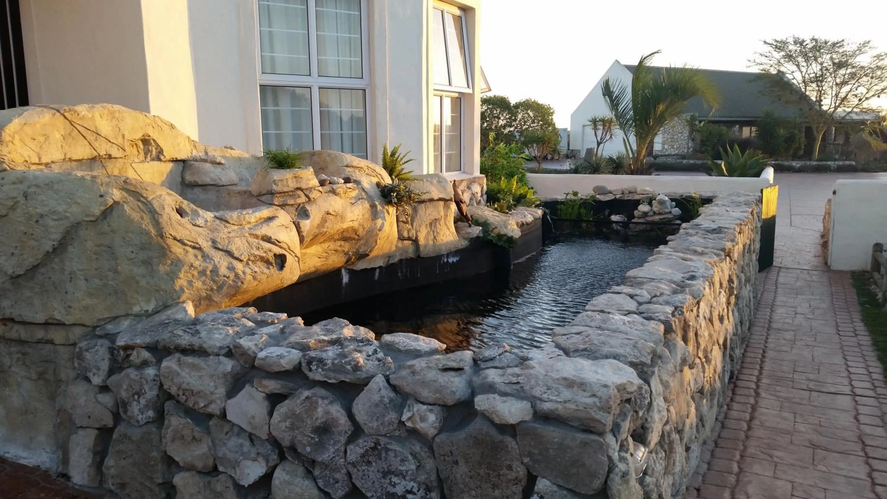 Garden in Masada Guest House