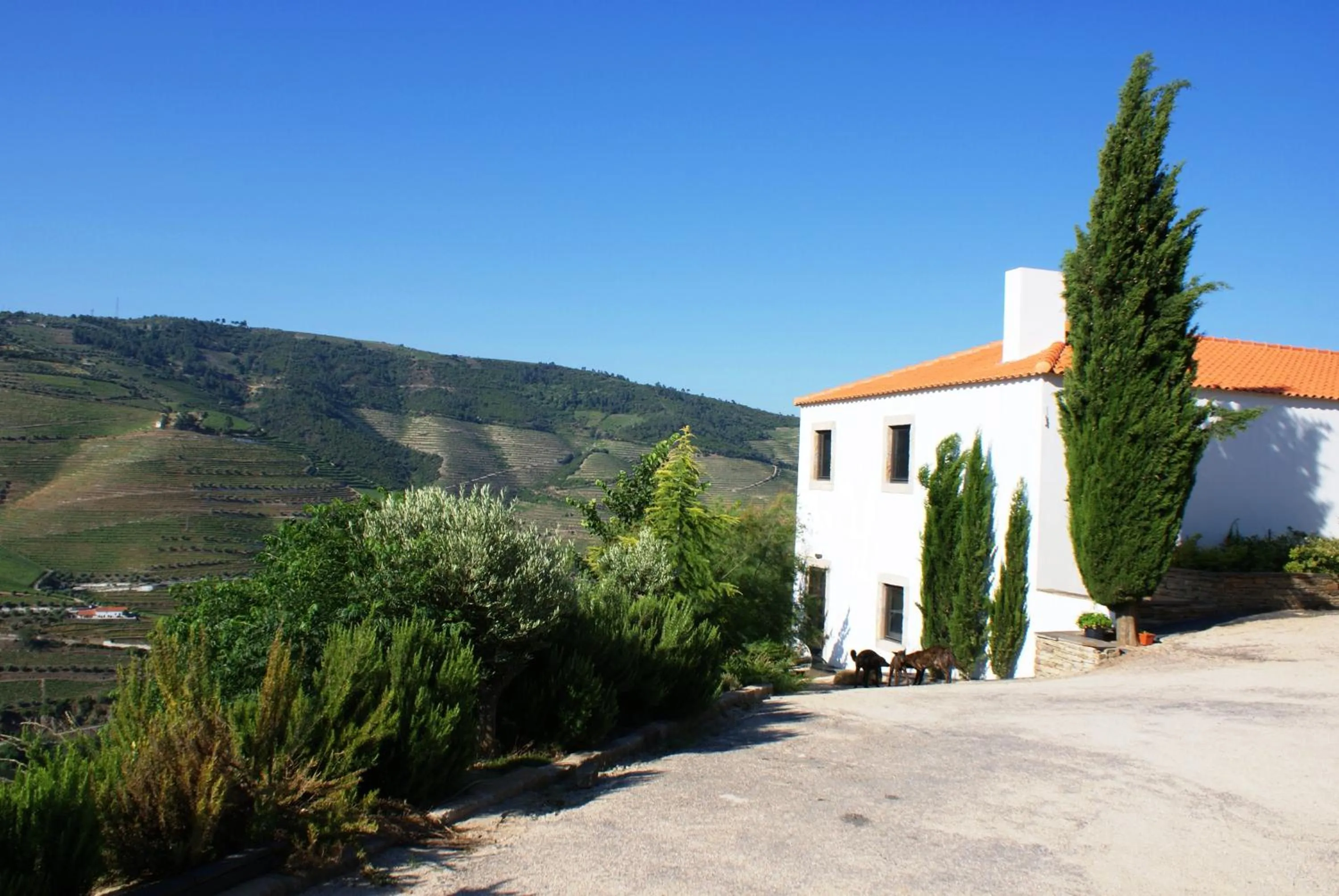 Facade/entrance in Quinta da Veiga