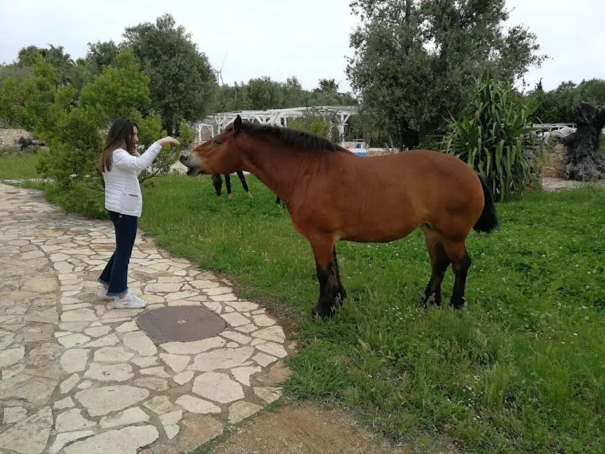 Masseria Sciaiani Piccola