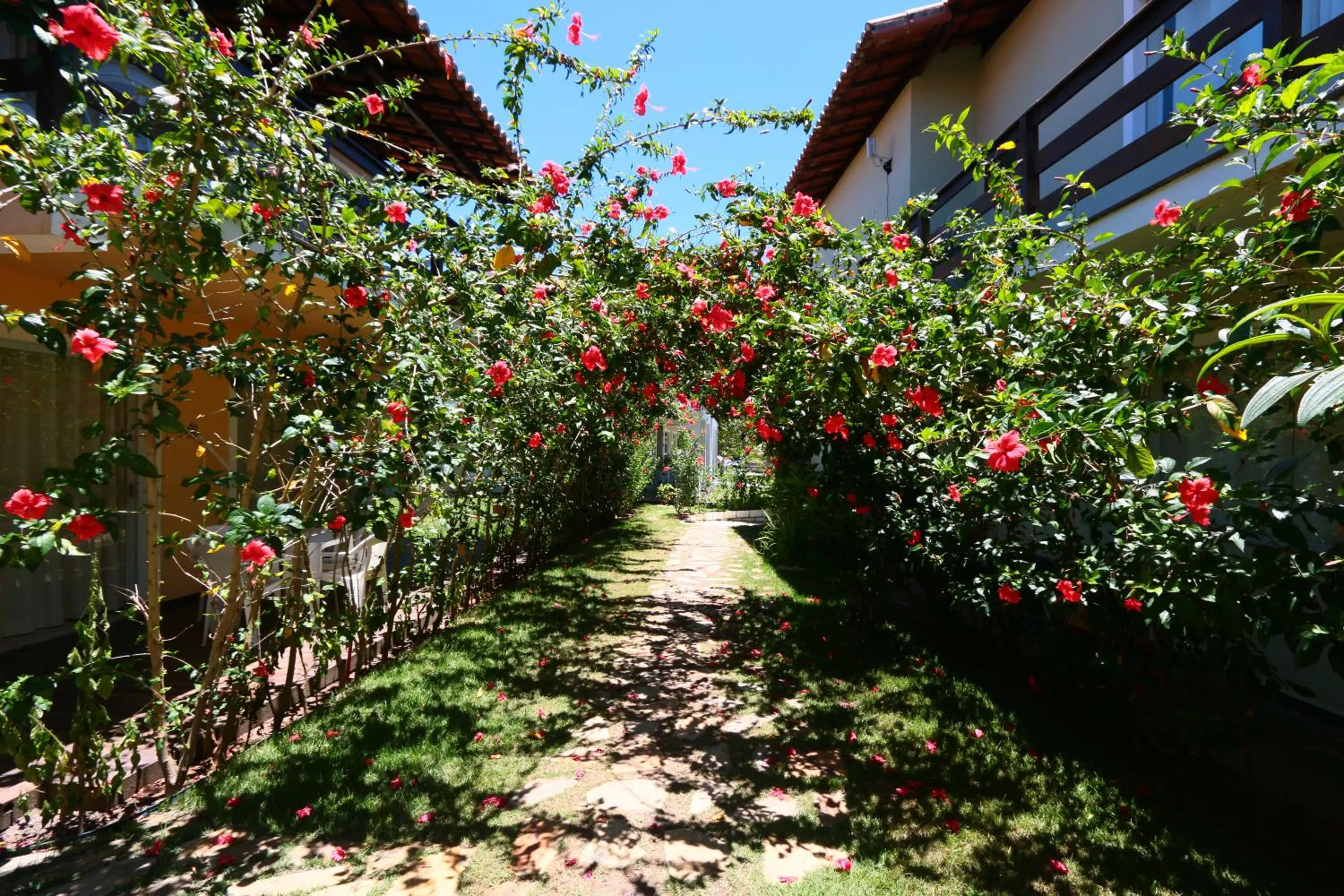 Garden in Village Muta