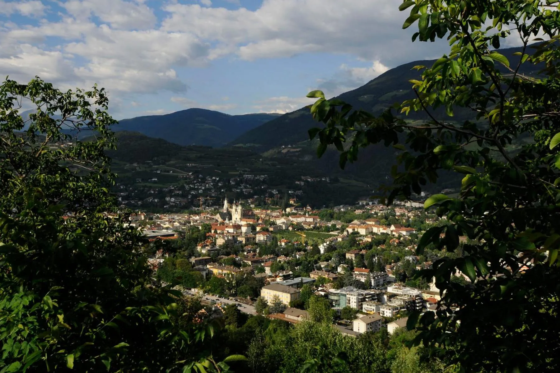 Natural landscape in Hotel Jarolim