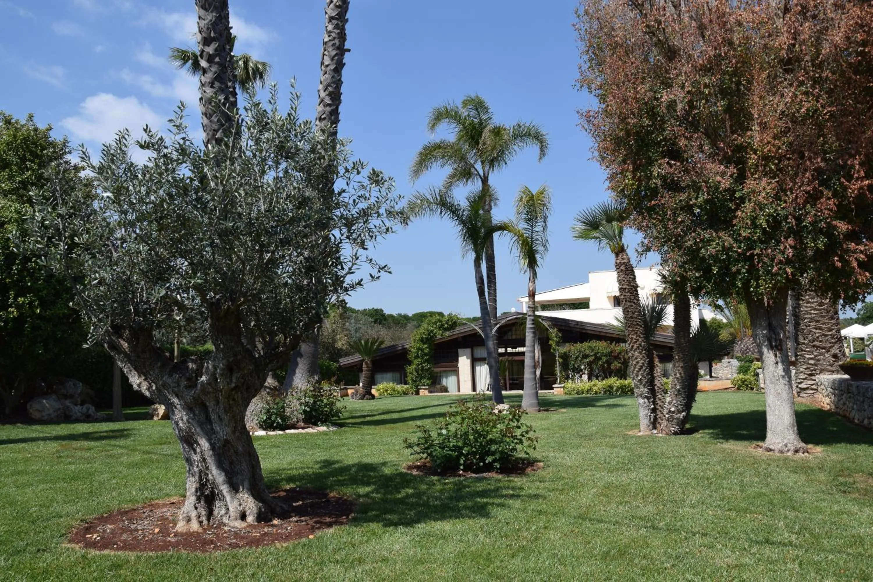 Garden in Masseria Casale Dei Fornici