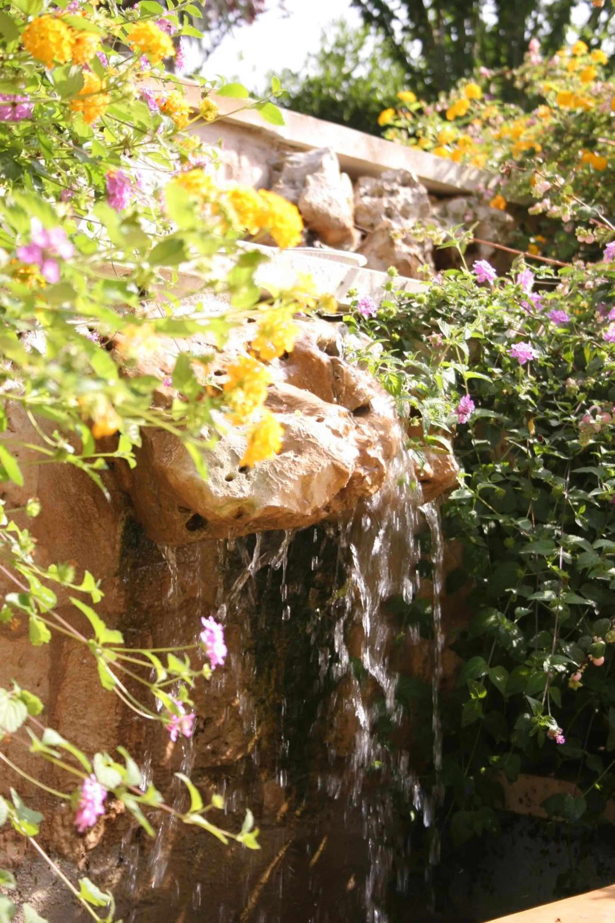 Decorative detail in Masseria Casale Dei Fornici