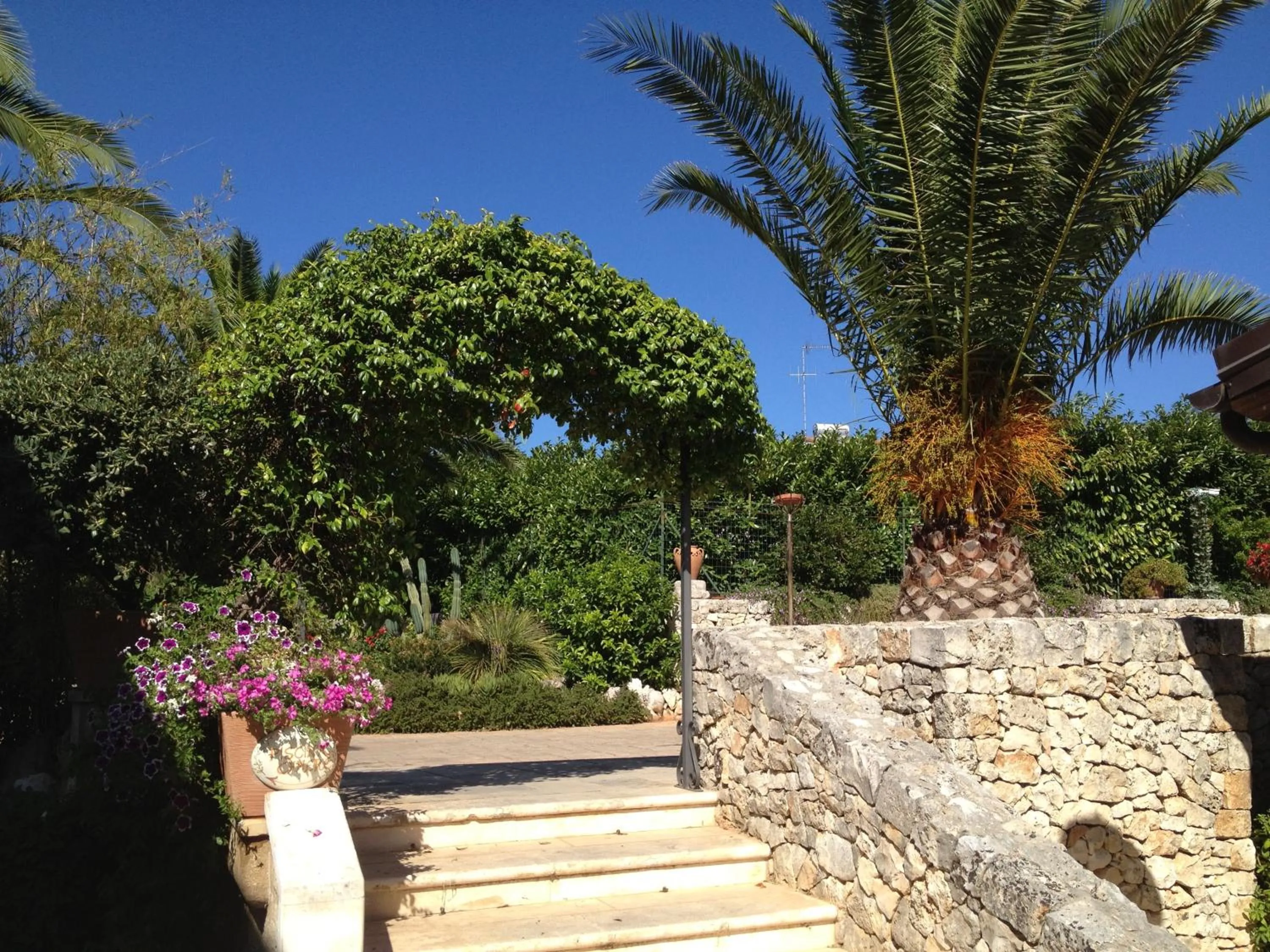 Garden in Masseria Casale Dei Fornici