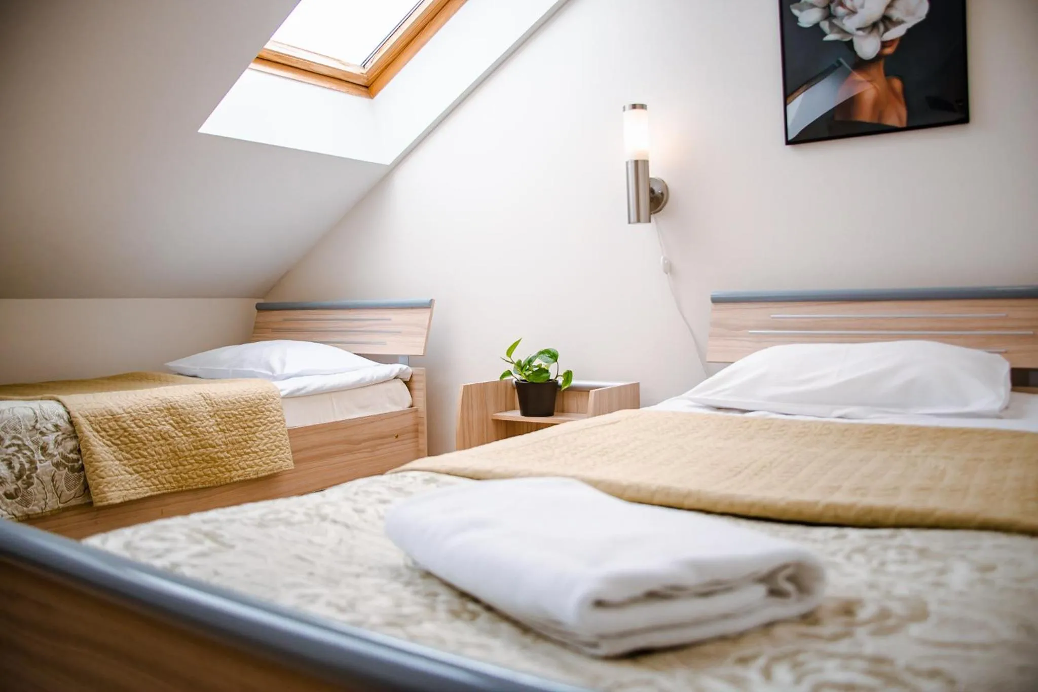 Triple Room with Shower in Hotel Pas Katina