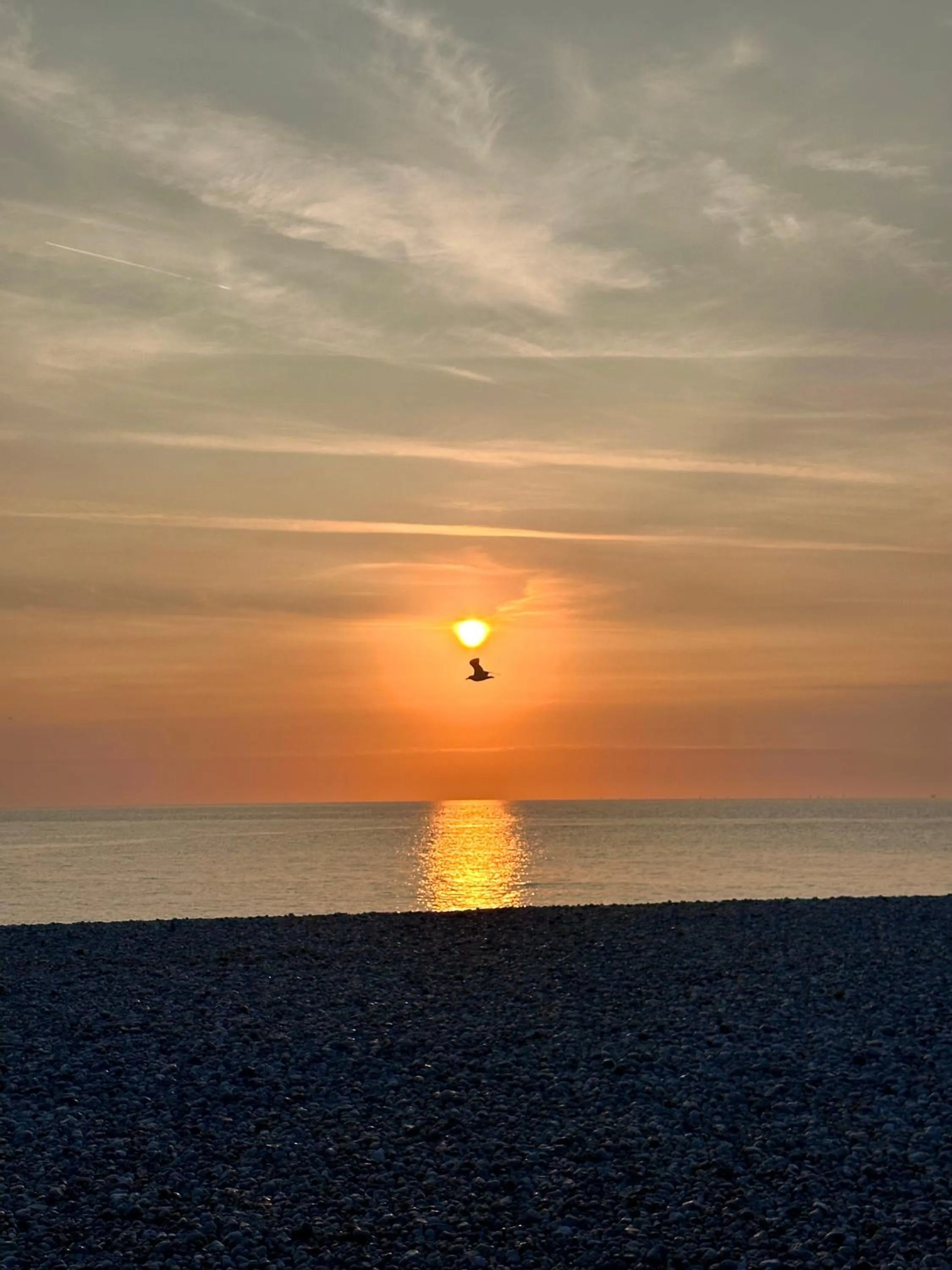 Natural landscape in Hôtel de la Plage