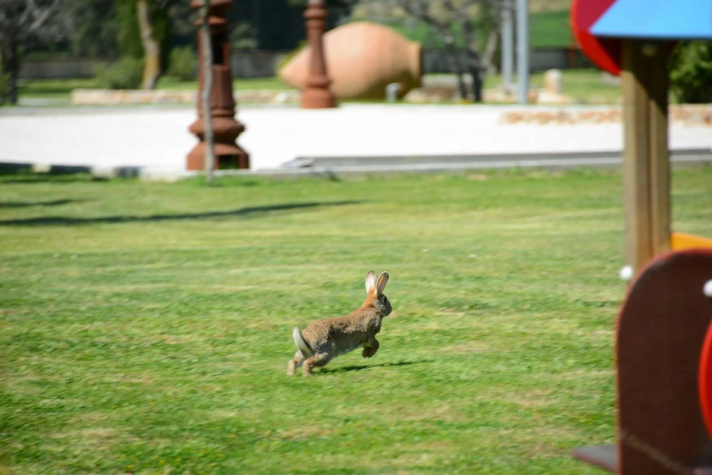 Animals in Casa Vacanze Residenza Bocci