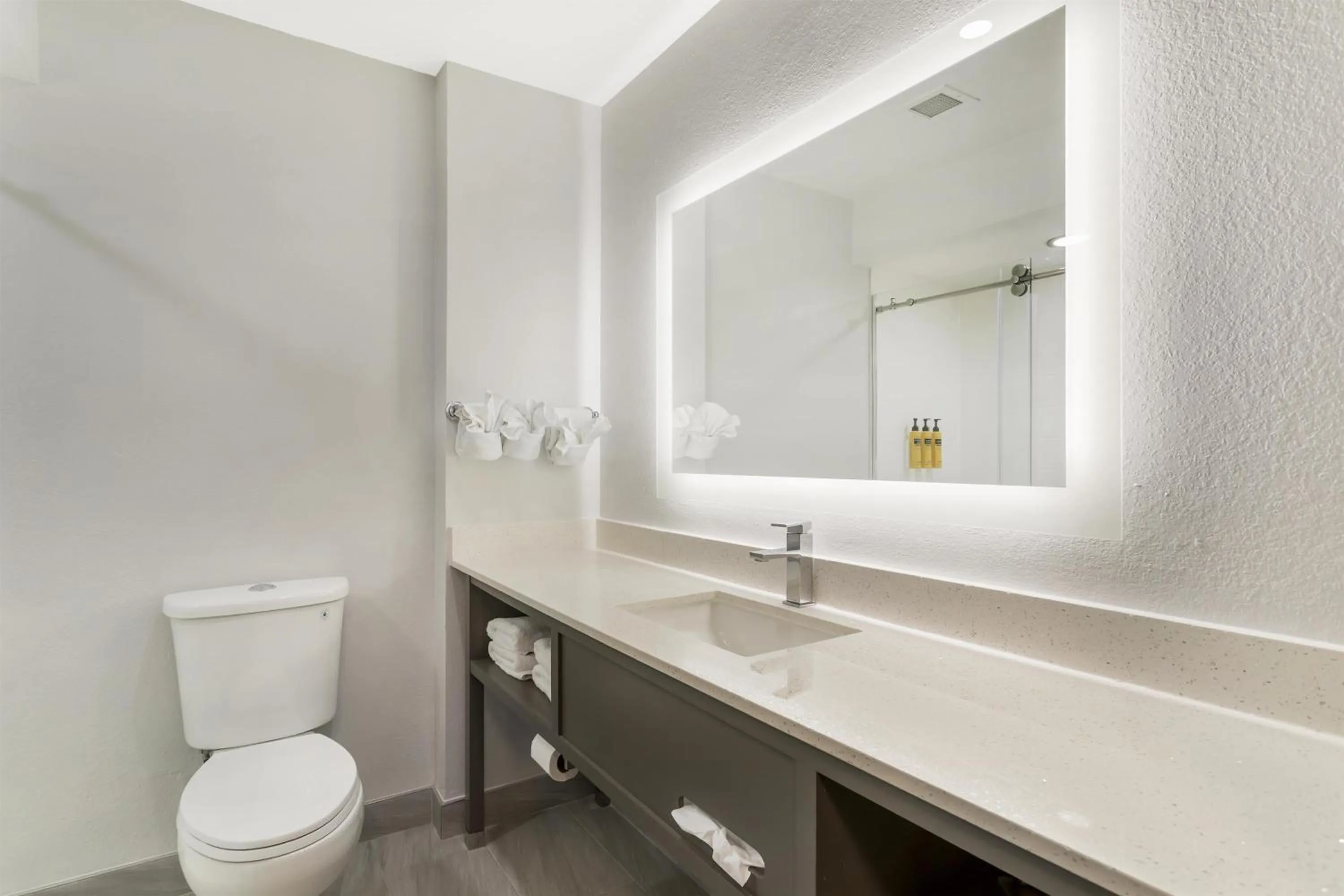 Bathroom in Best Western Plus First Coast Inn and Suites