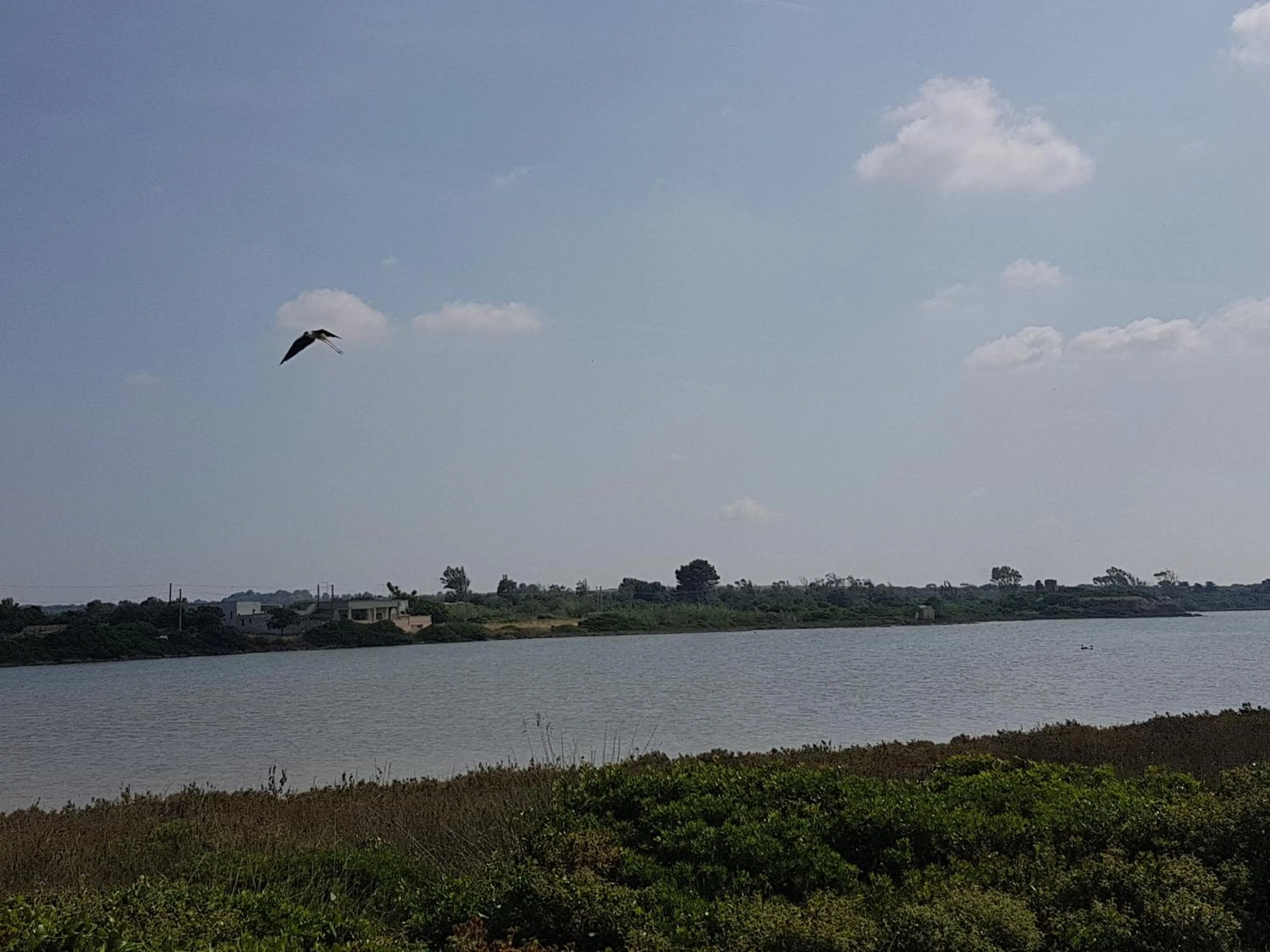 Beach in B&B Miramare
