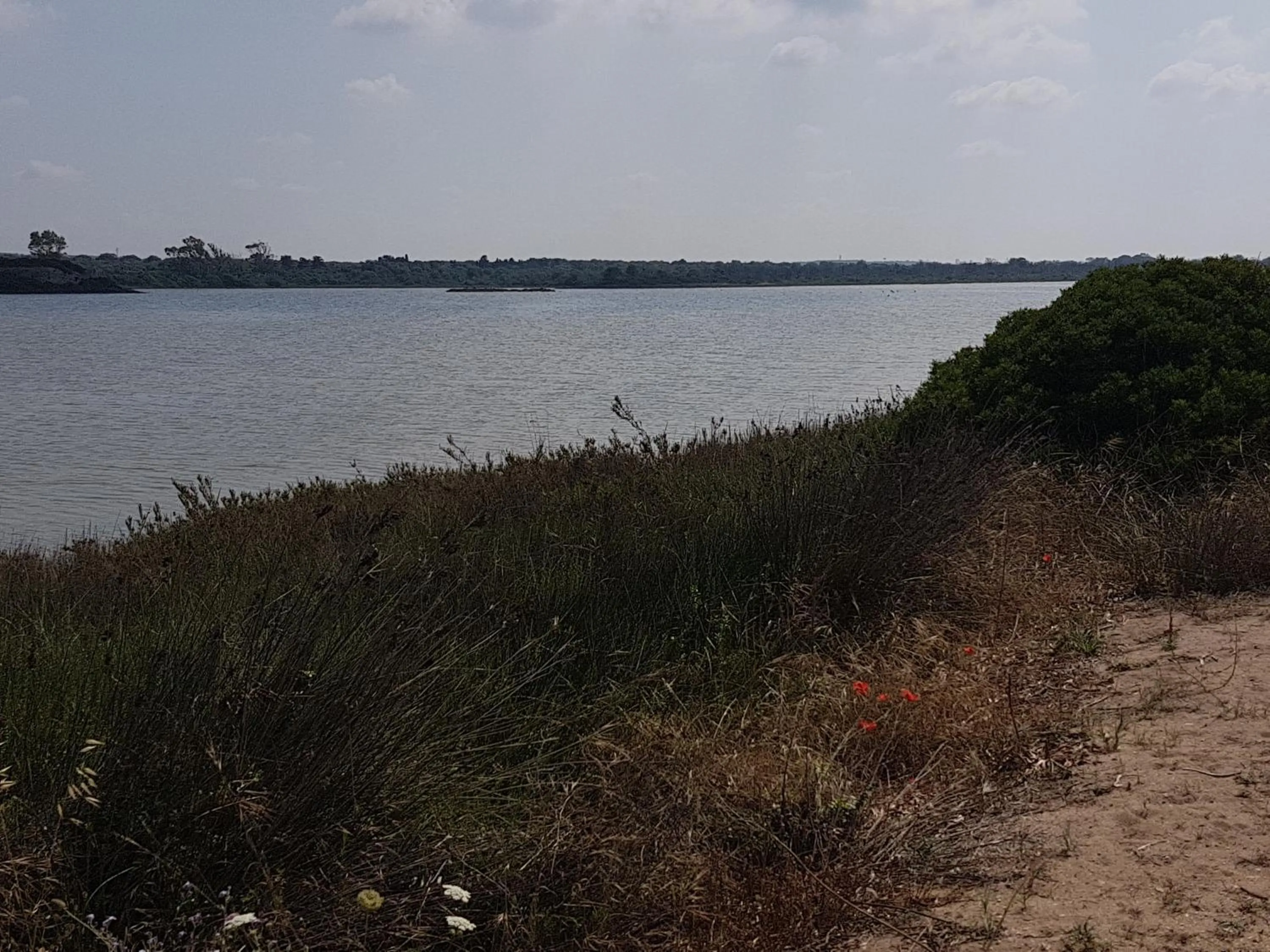 Beach in B&B Miramare
