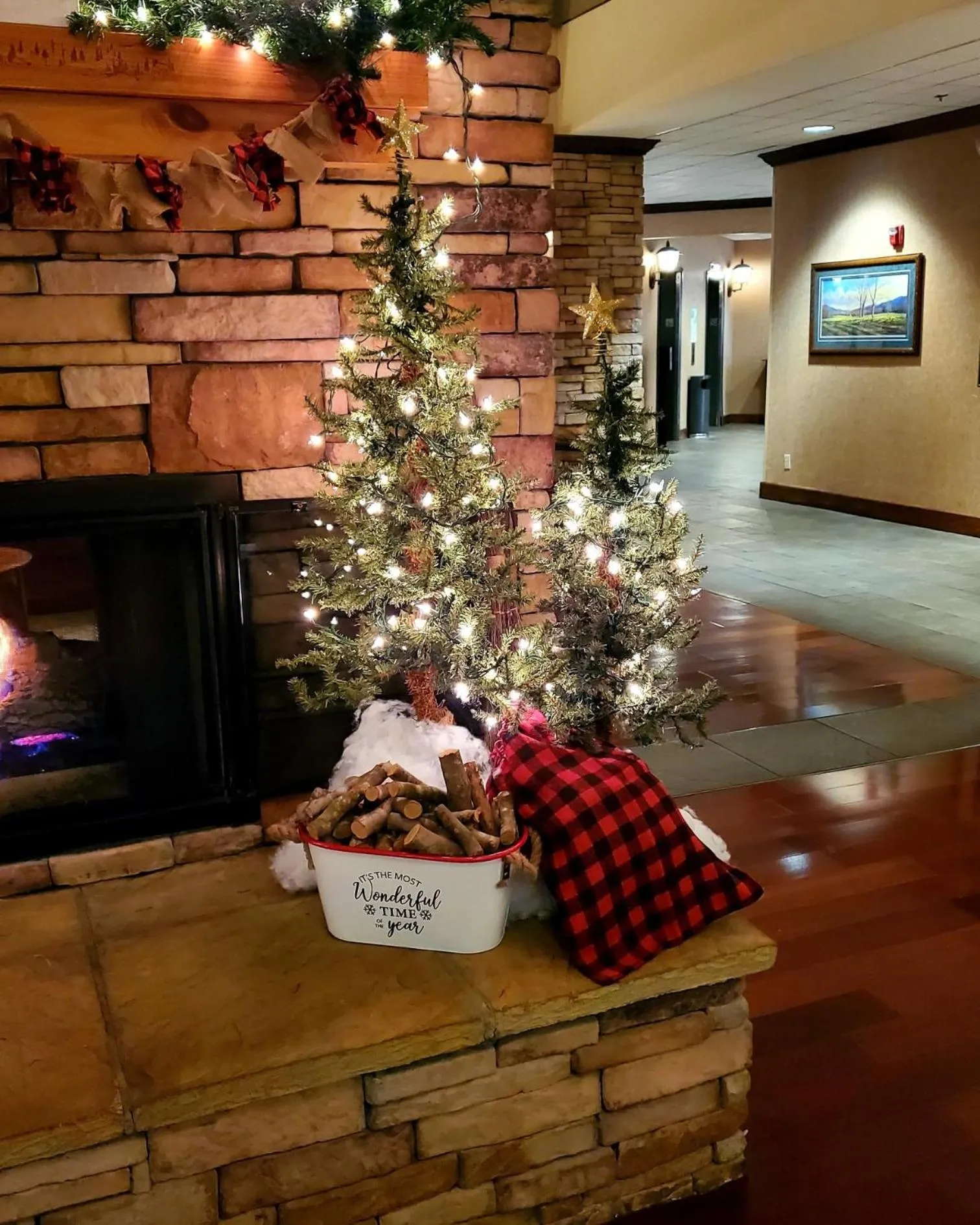 Winter in The Ramsey Hotel and Convention Center