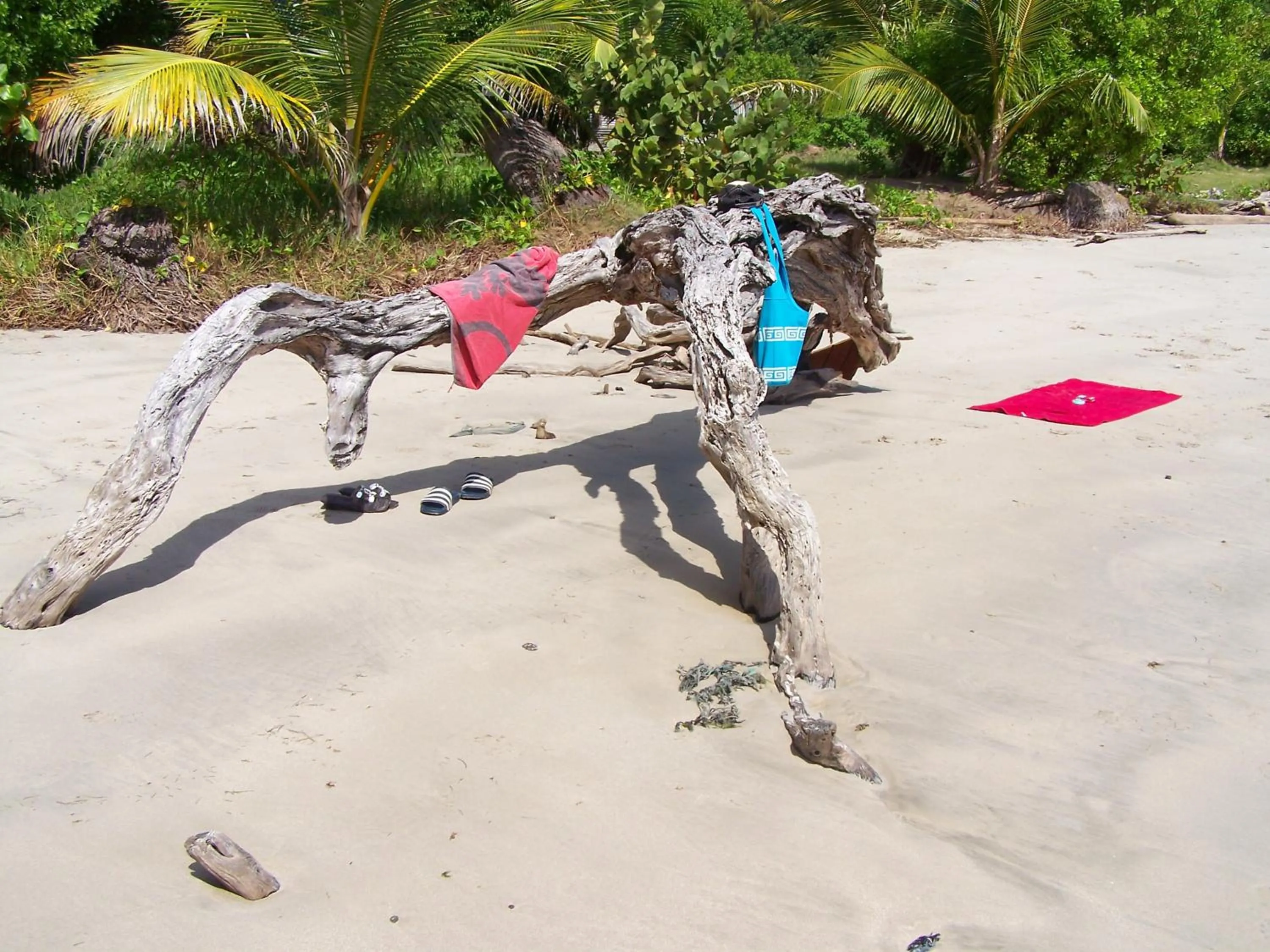 Beach in Cabier Ocean Lodge