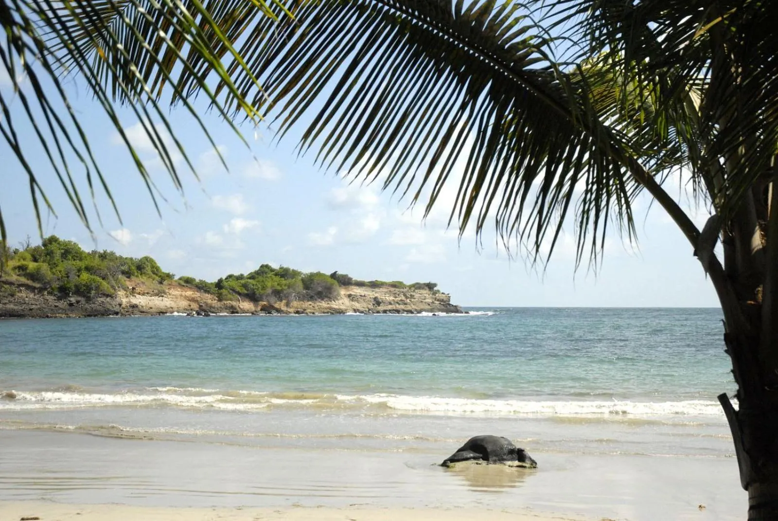 Natural landscape in Cabier Ocean Lodge