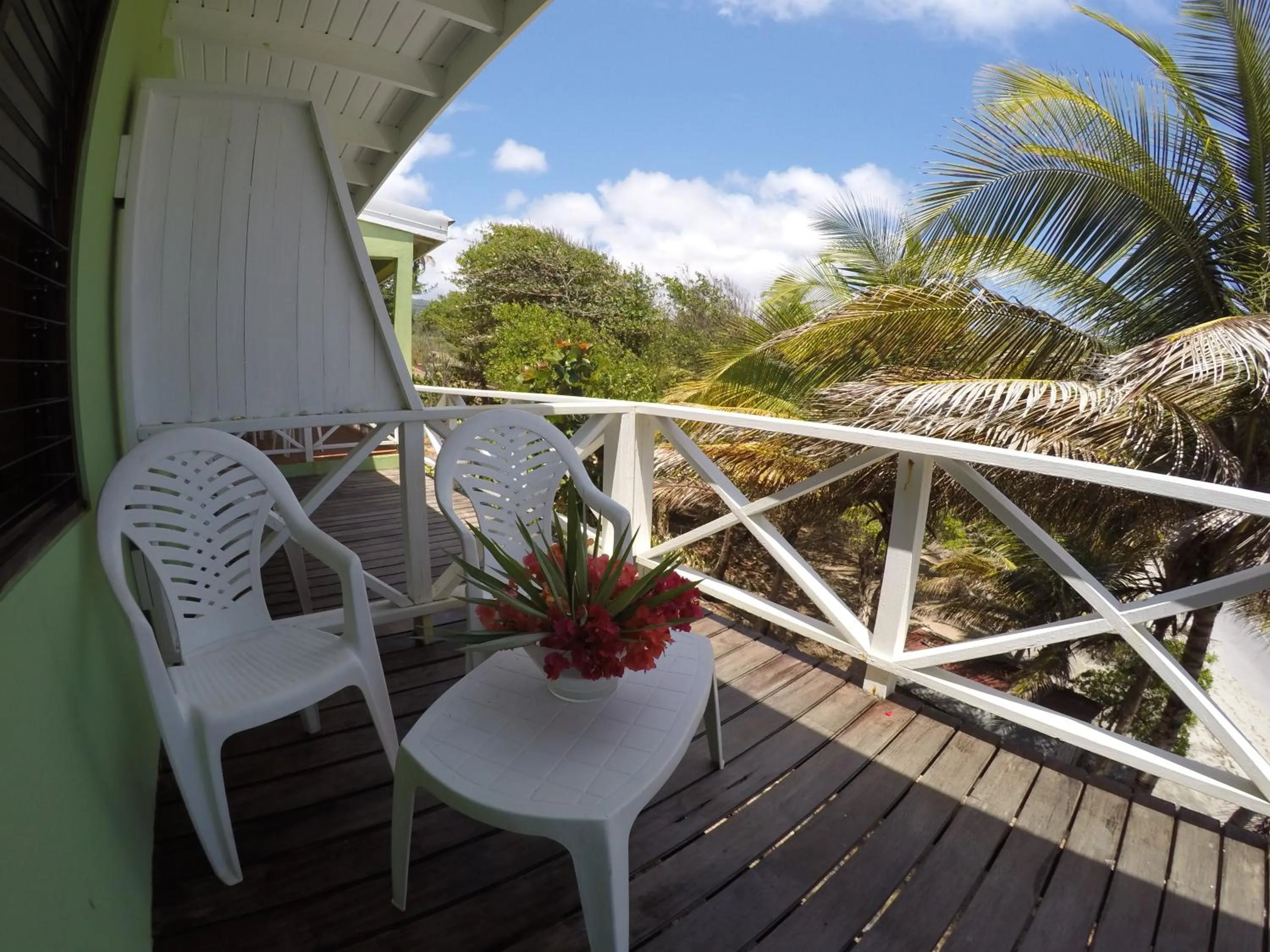 Garden in Cabier Ocean Lodge