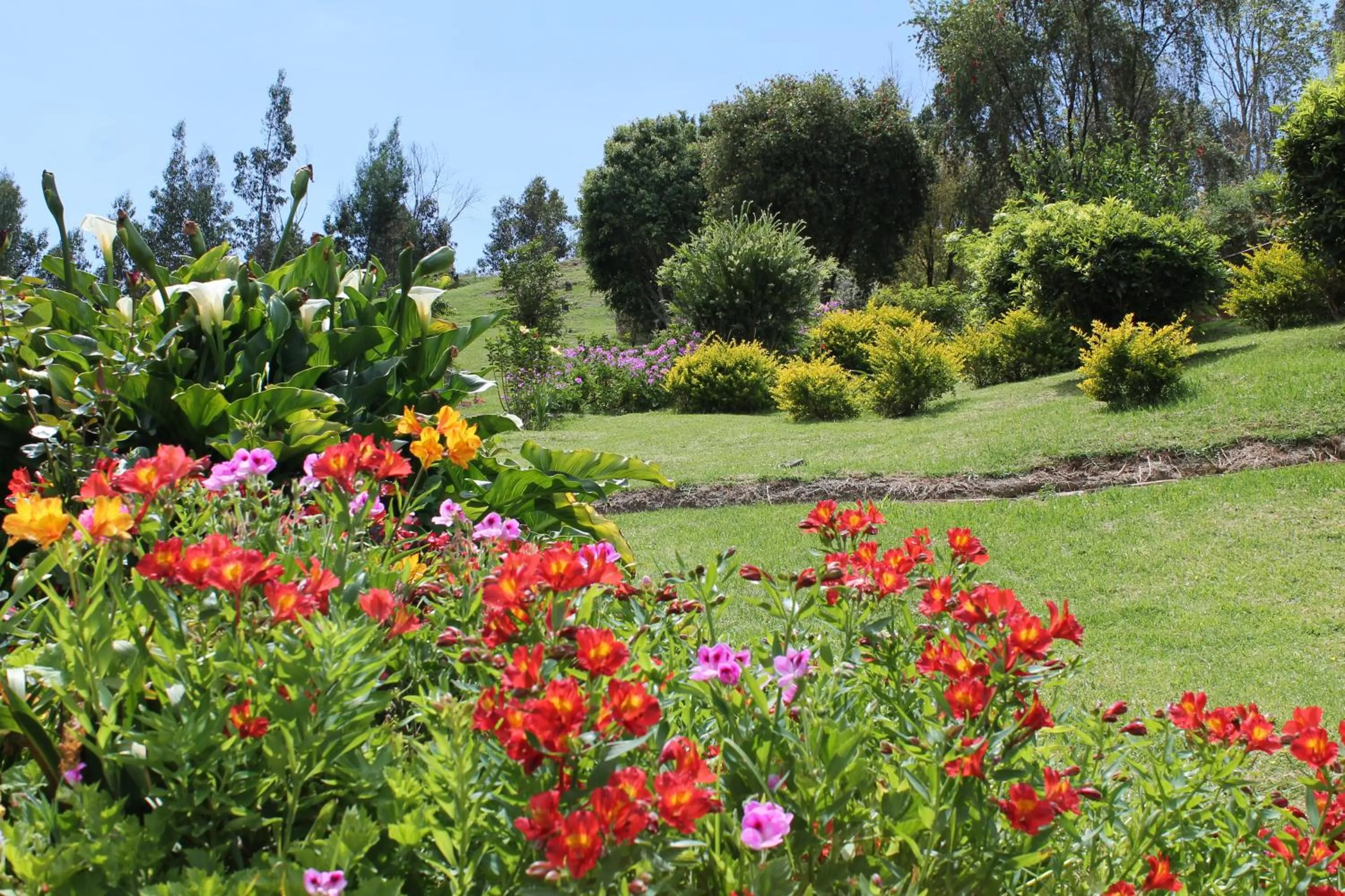 ApartaSuites Arcoiris