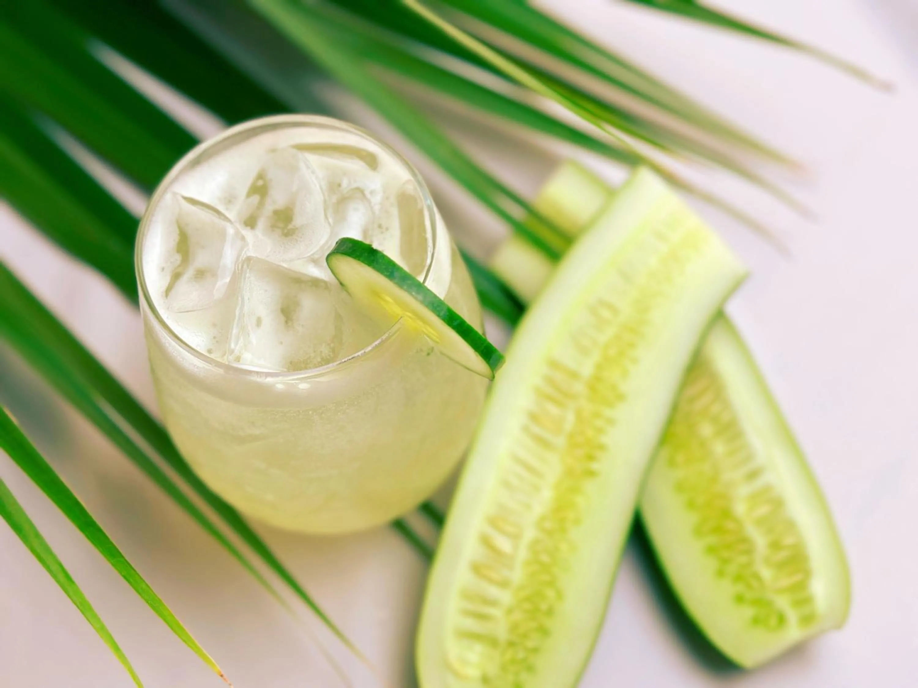 Food and drinks in Mount Cinnamon Beach & Wellness Resort