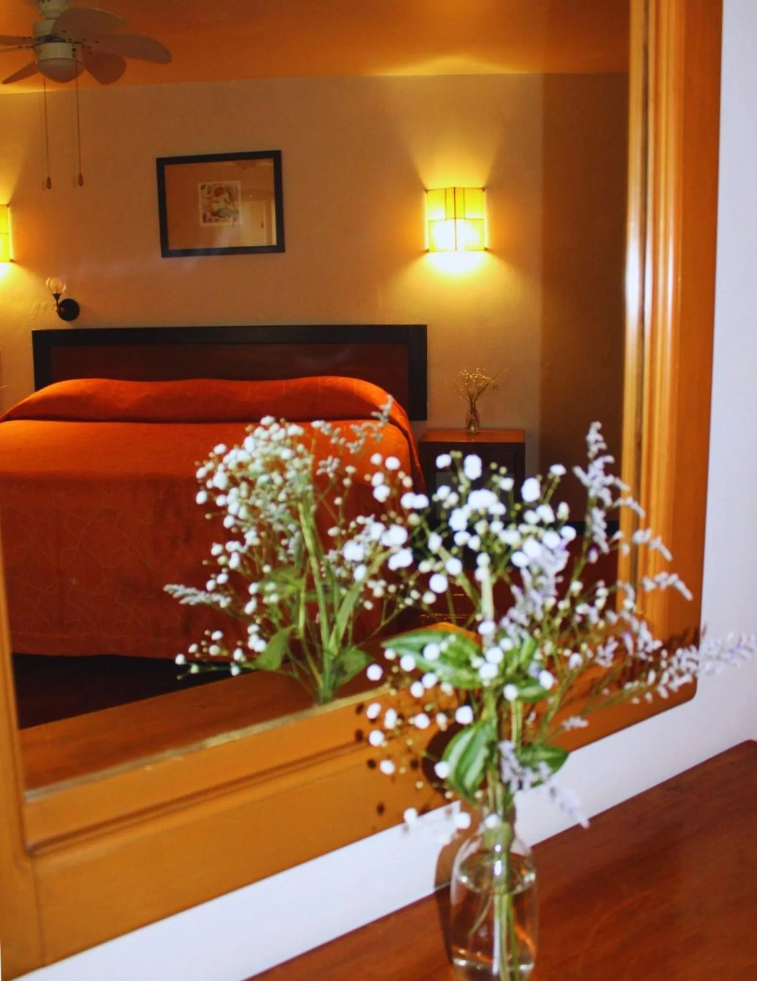 Bed in Hotel Ilebal Cuernavaca Centro - lugar con encanto!