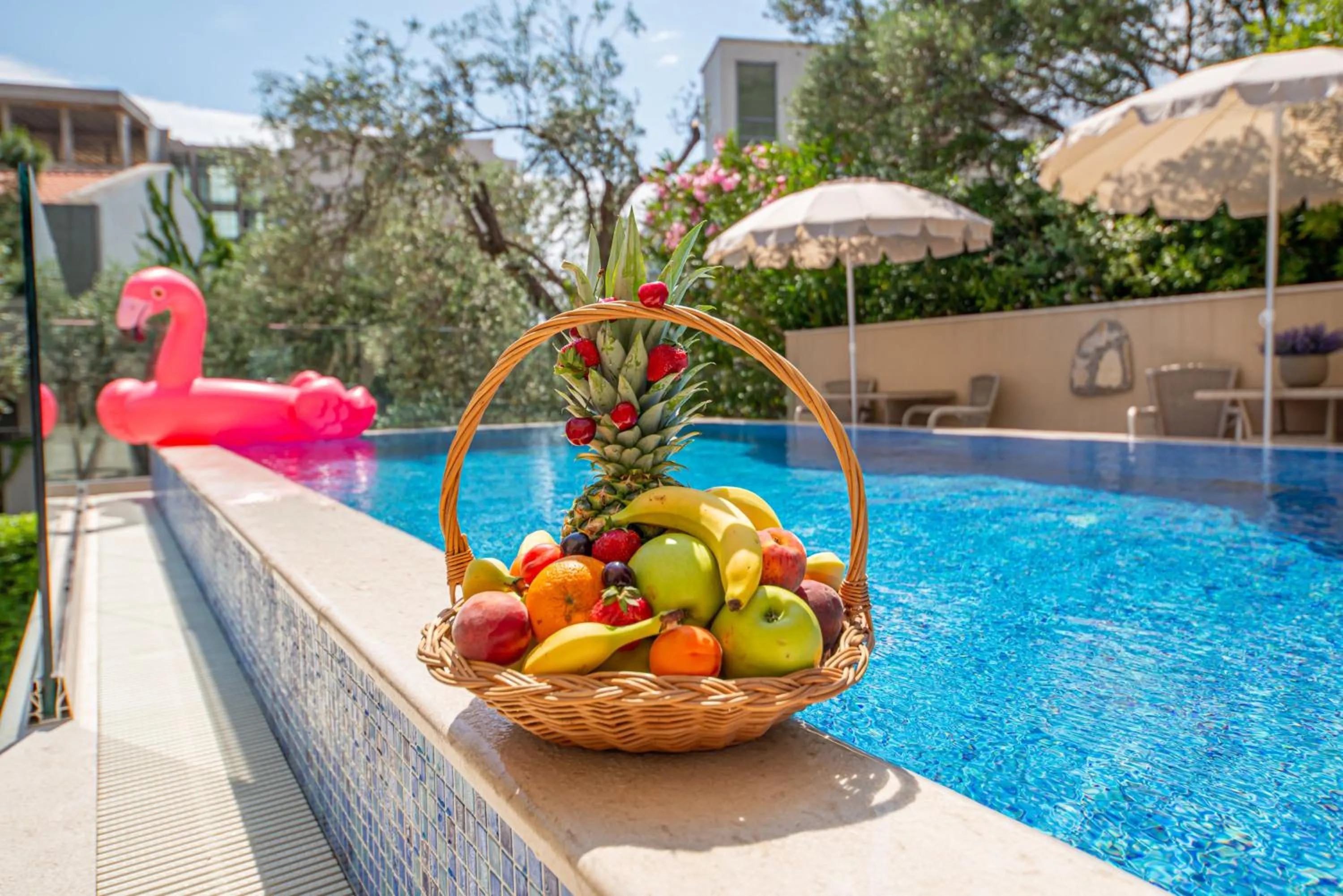 Swimming pool in B&B Amfora