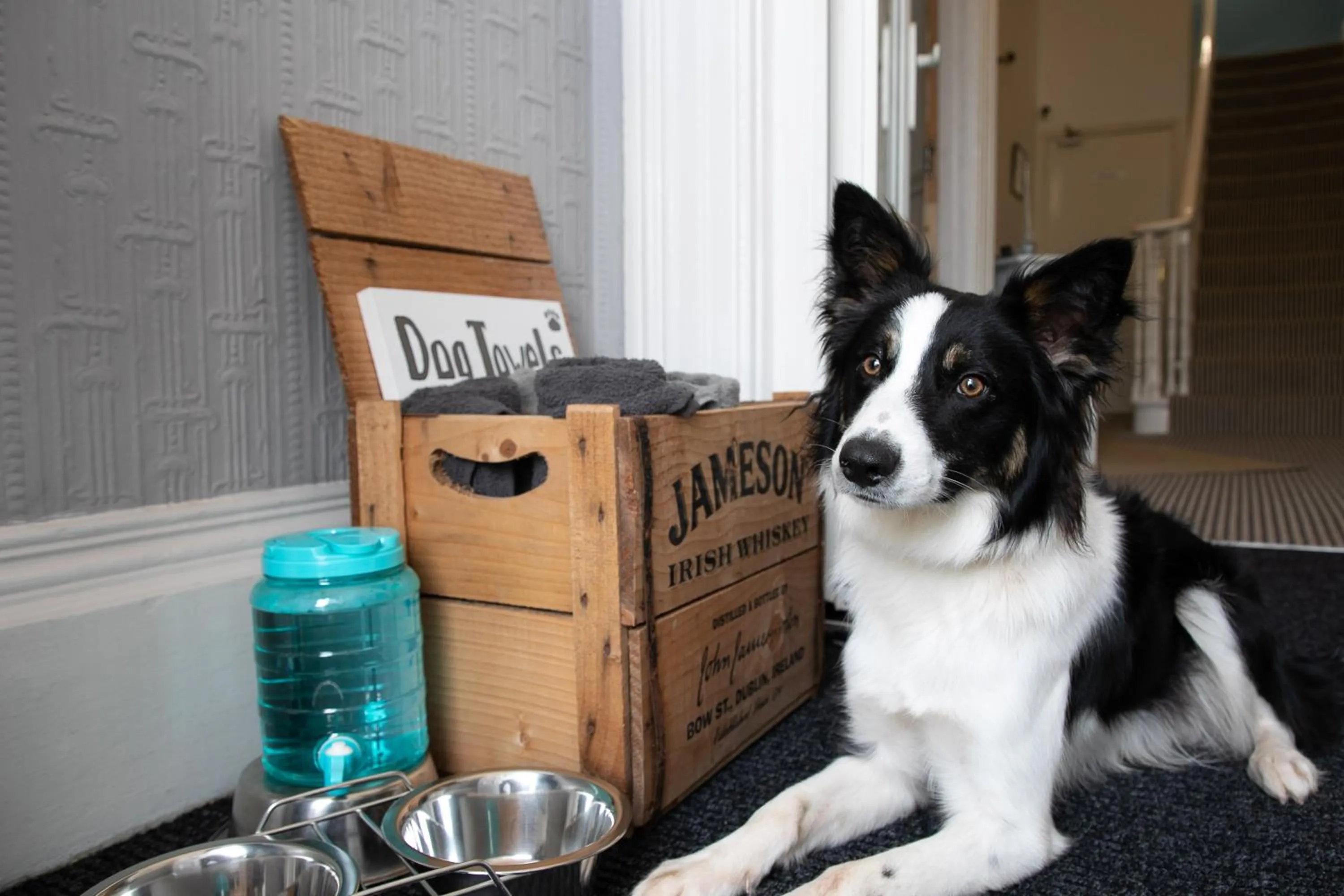 Other in The Belmont