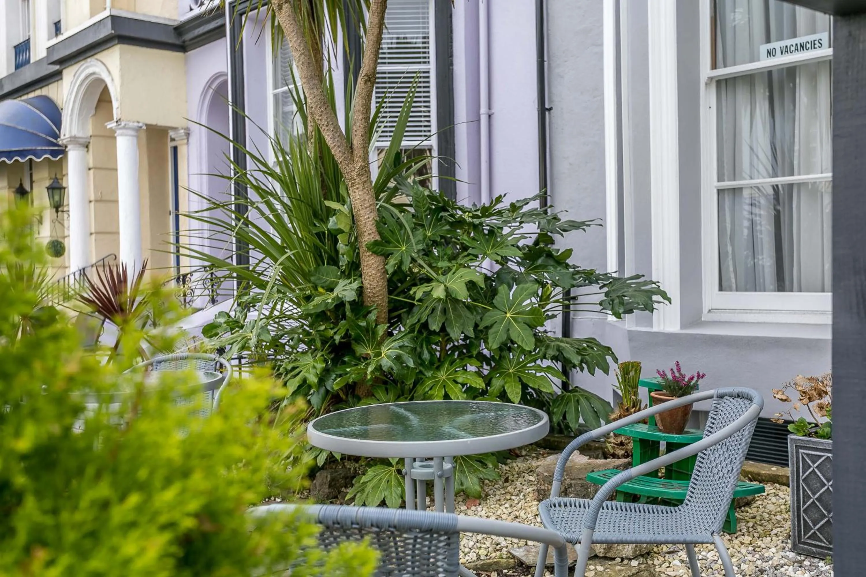 Garden in The Belmont