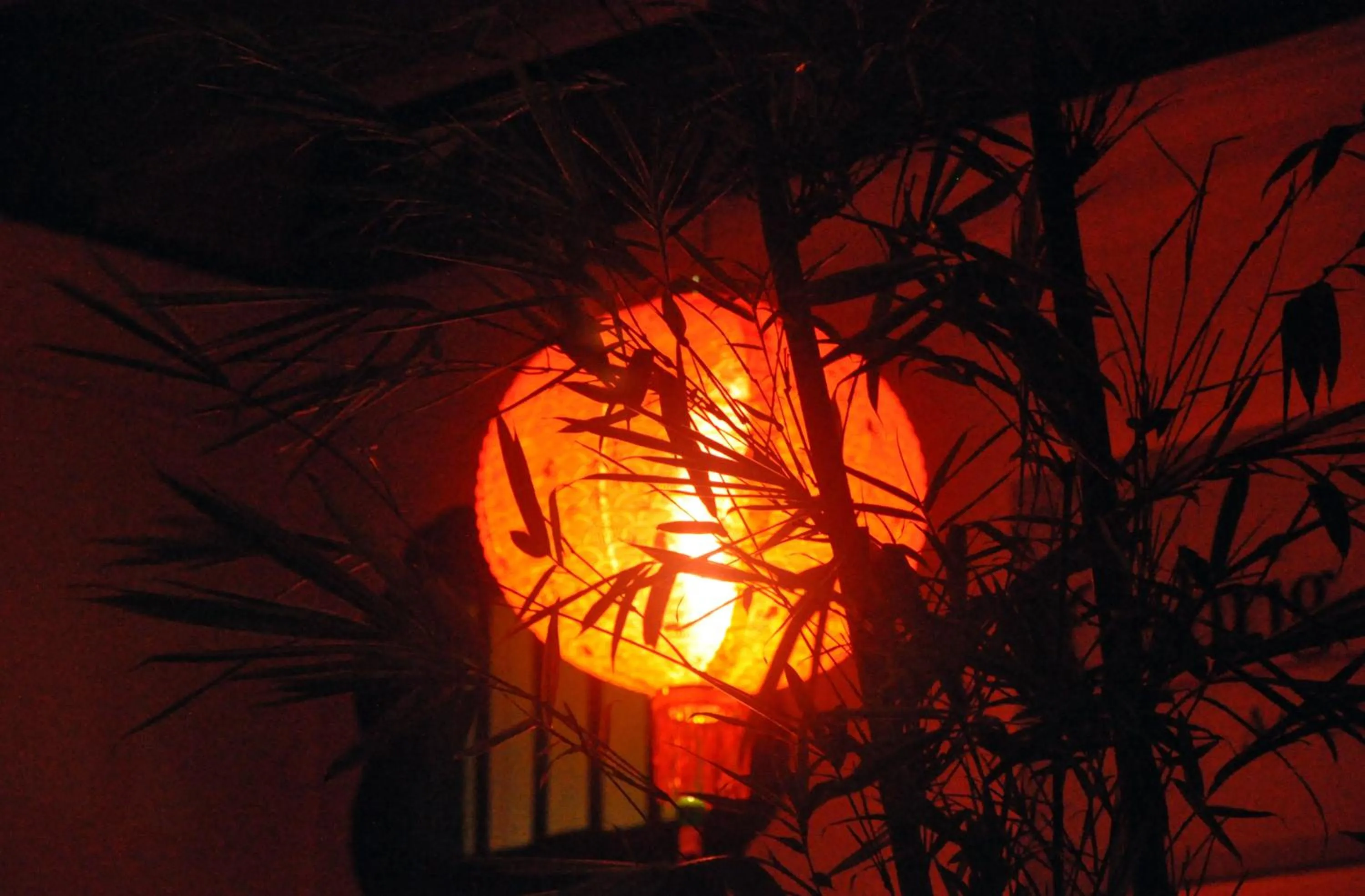 Decorative detail in Coffee Atelier