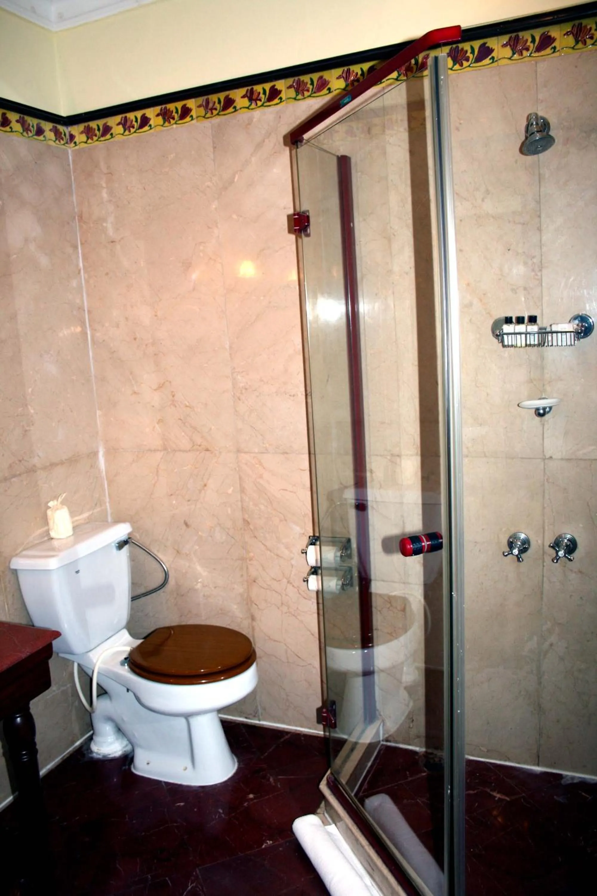 Shower in The LaLit Grand Palace Srinagar