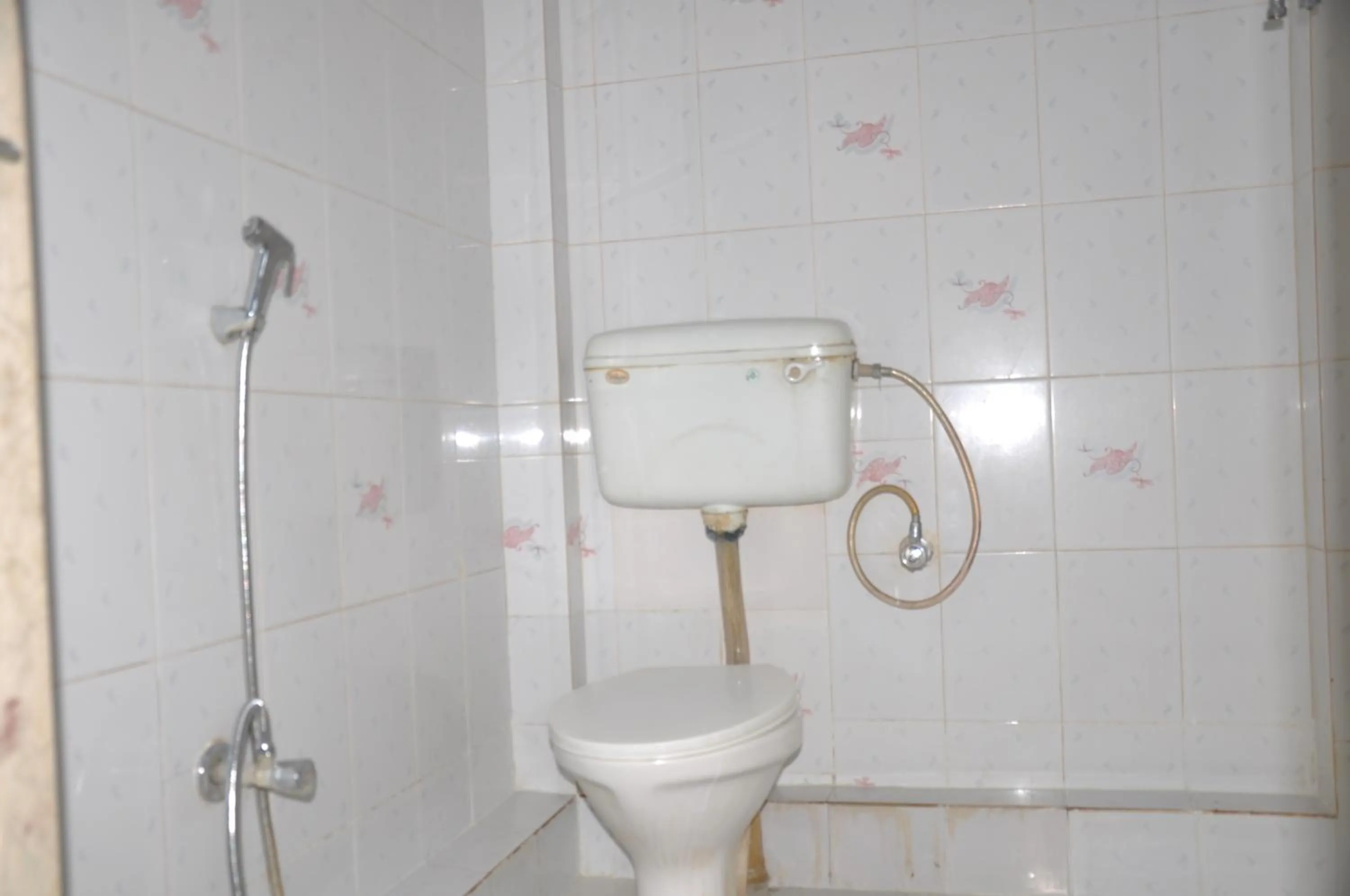 Shower in Ganga Fuji Home