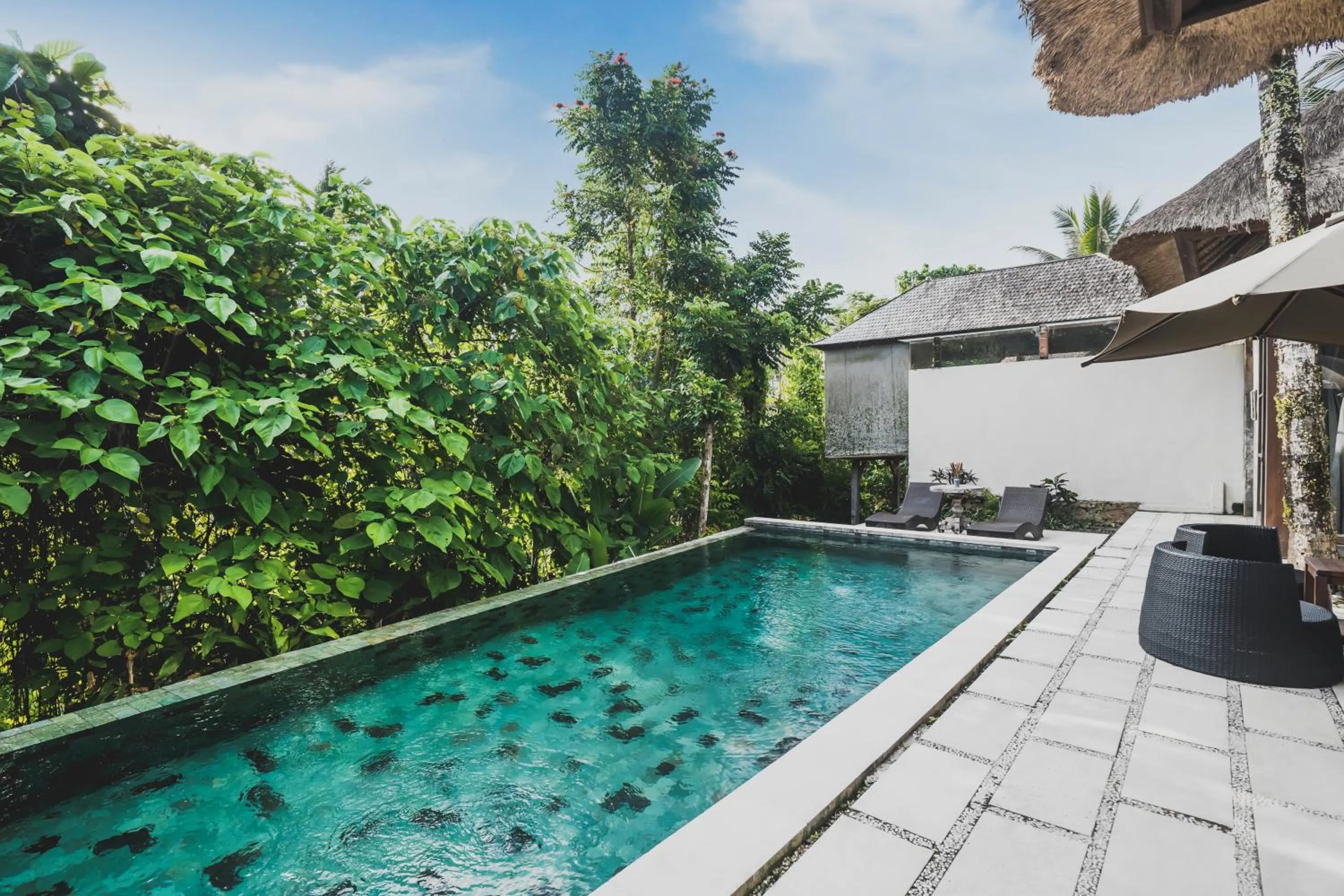 Pool view in Luwak Estate