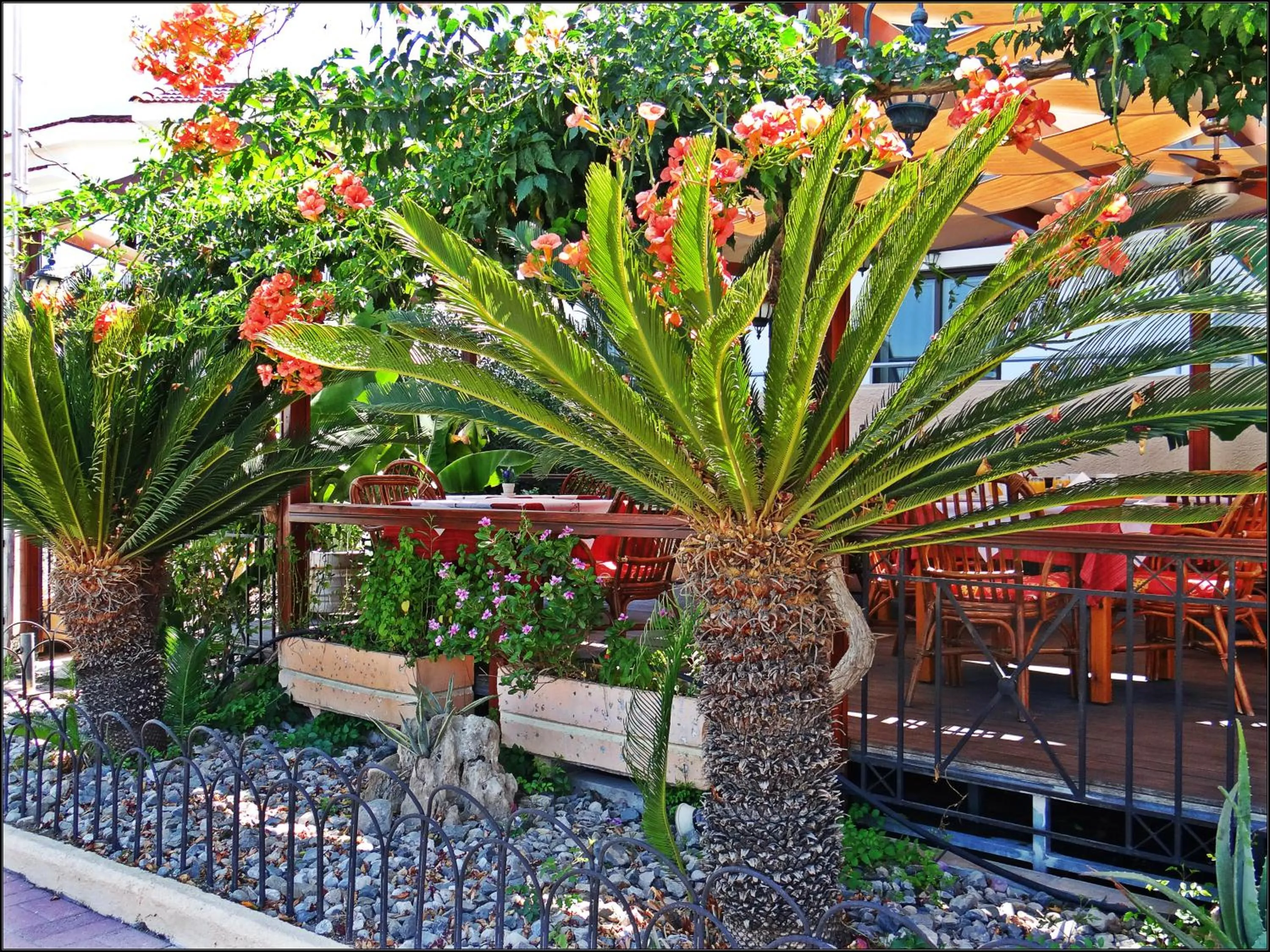 Restaurant/places to eat in Kalathos Sun Hotel