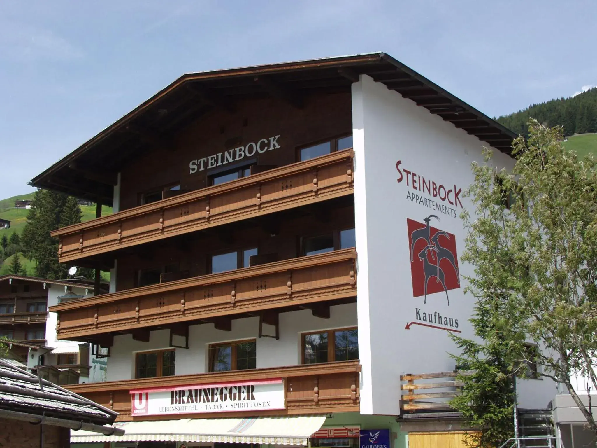 Appartements Steinbock - Ski-In & Ski-Out Appartements Steinbock - Ski-In & Ski-Out