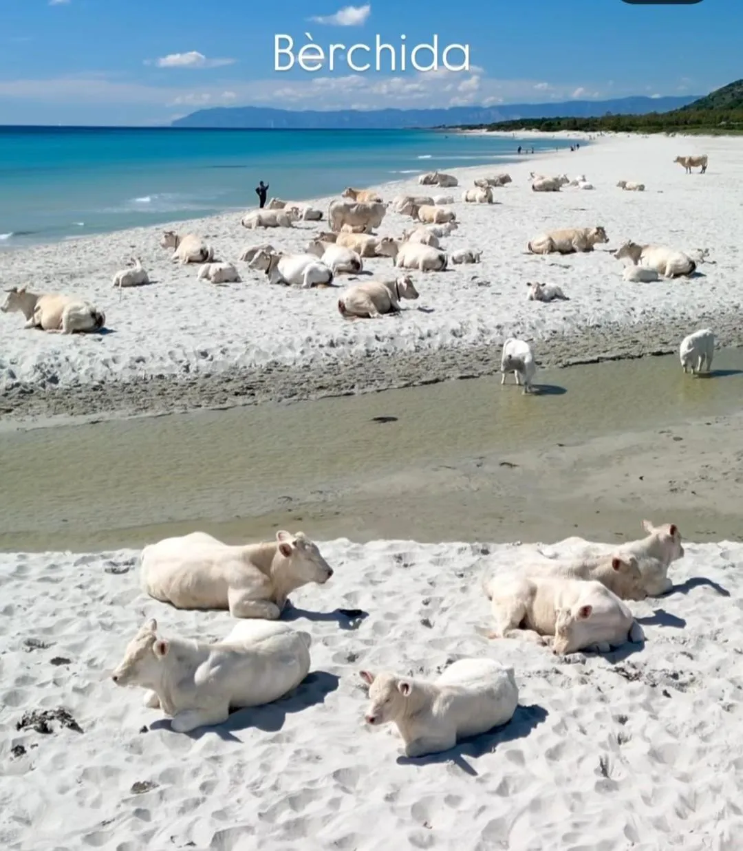 La grazia in qualche modo