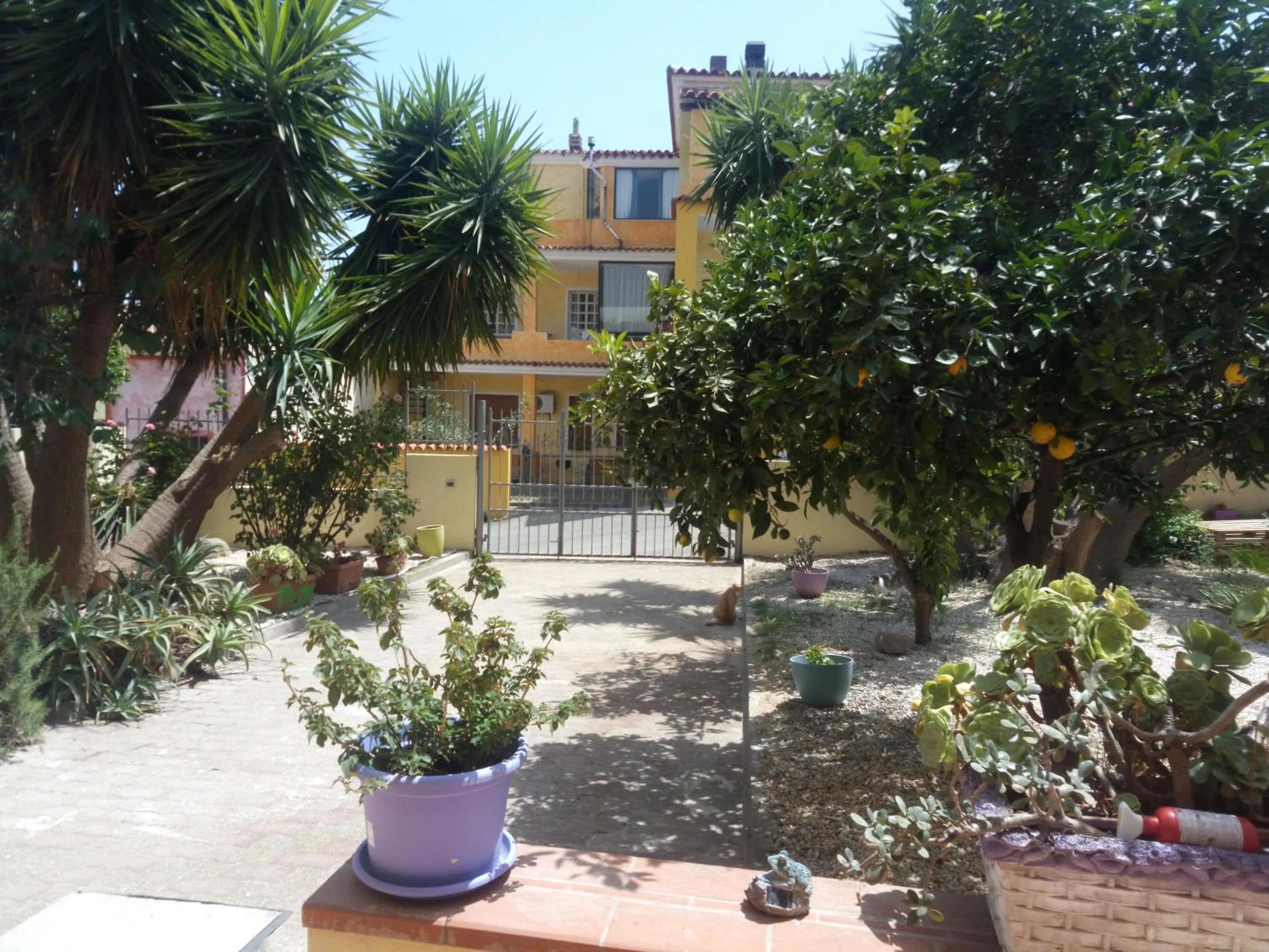 La grazia in qualche modo