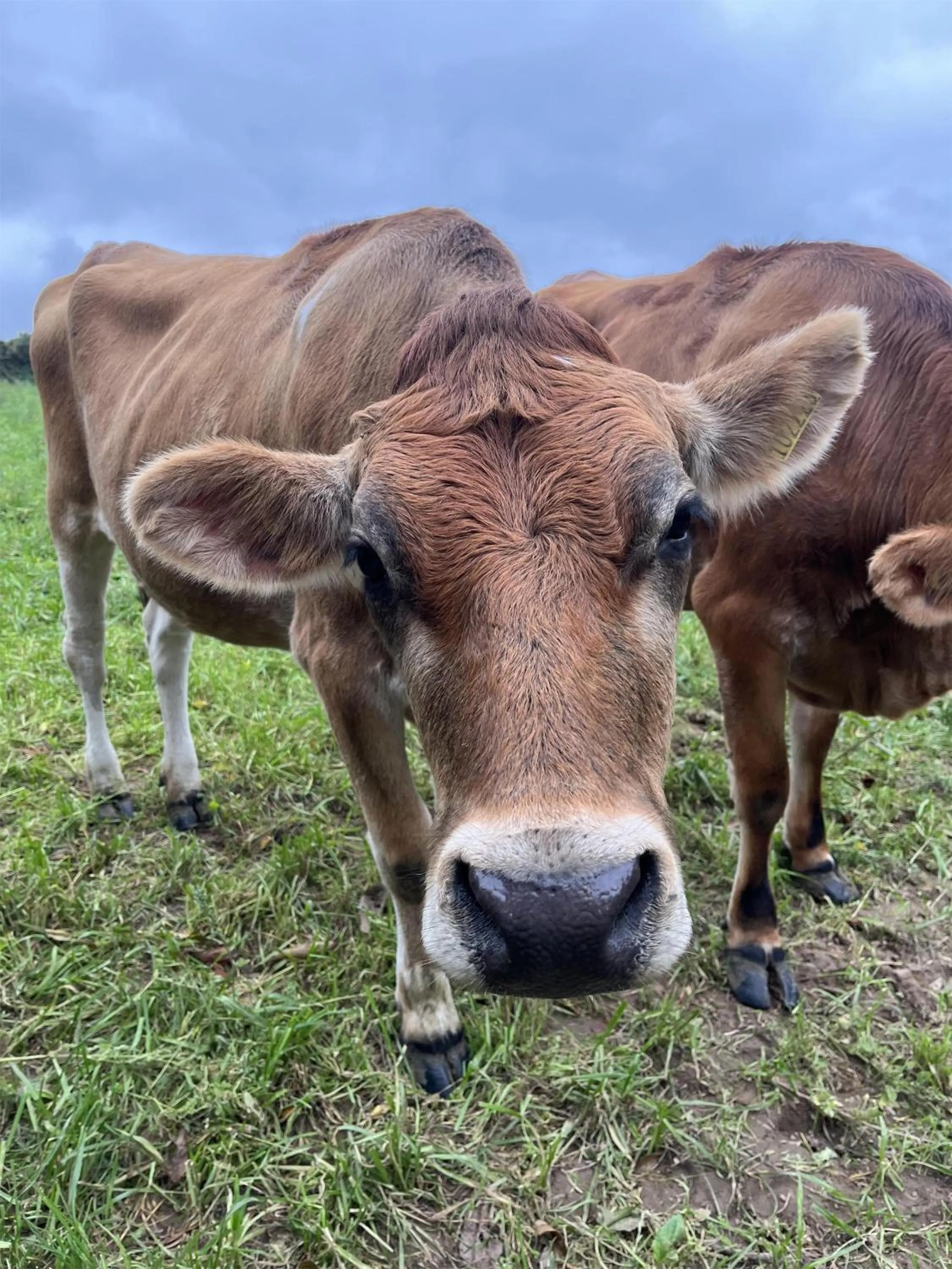 Other in Radisson Blu Waterfront Hotel, Jersey