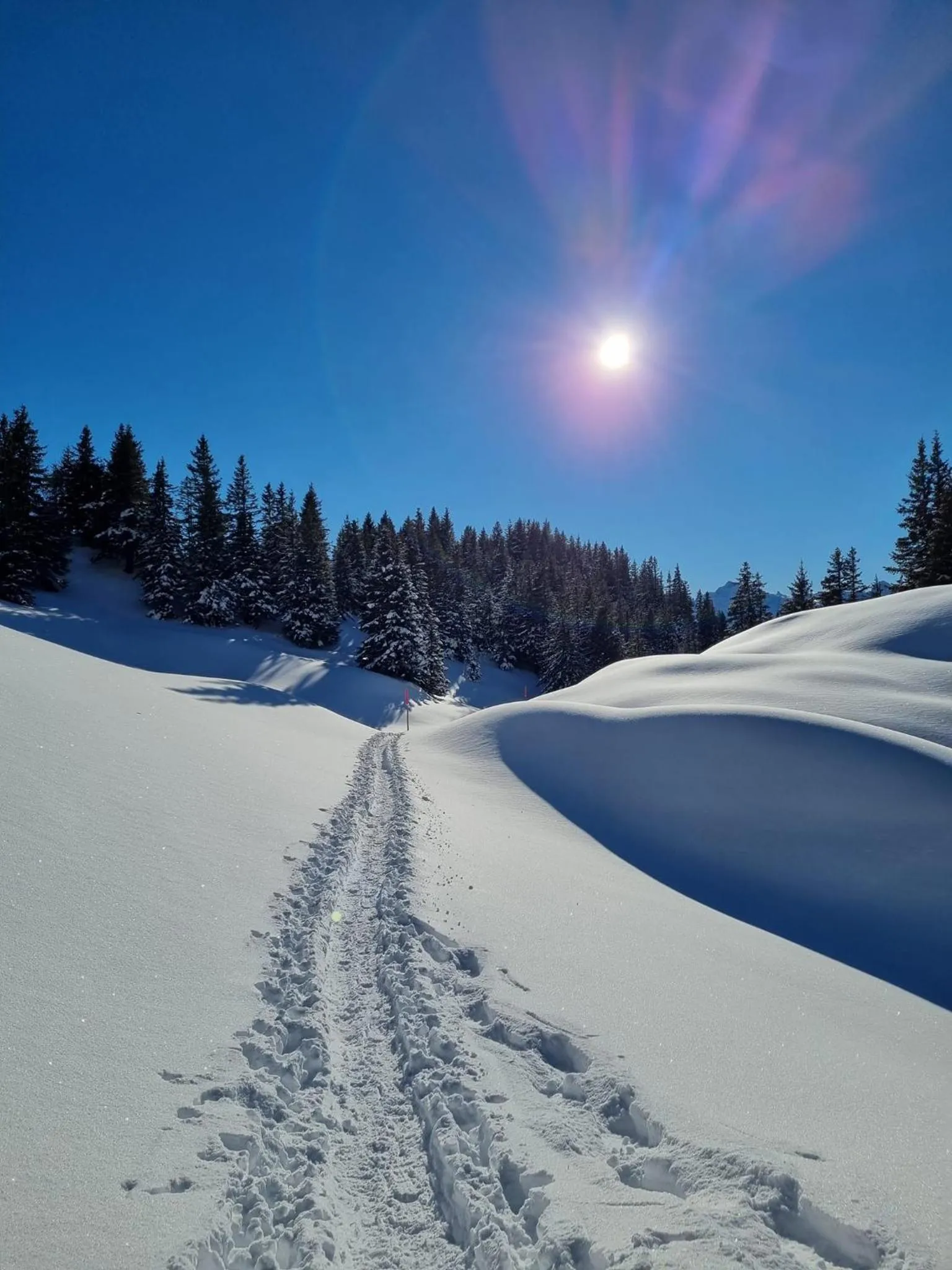 Winter in Hotel Krone