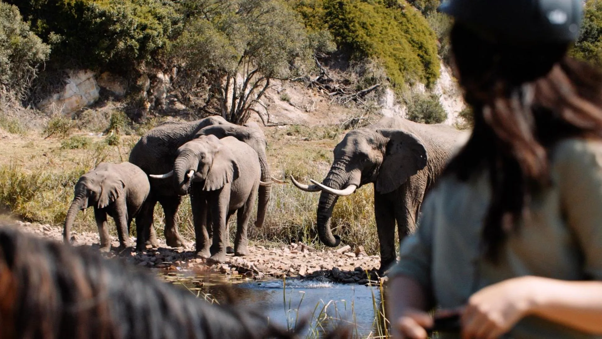 Horse-riding in Botlierskop Tented Lodge