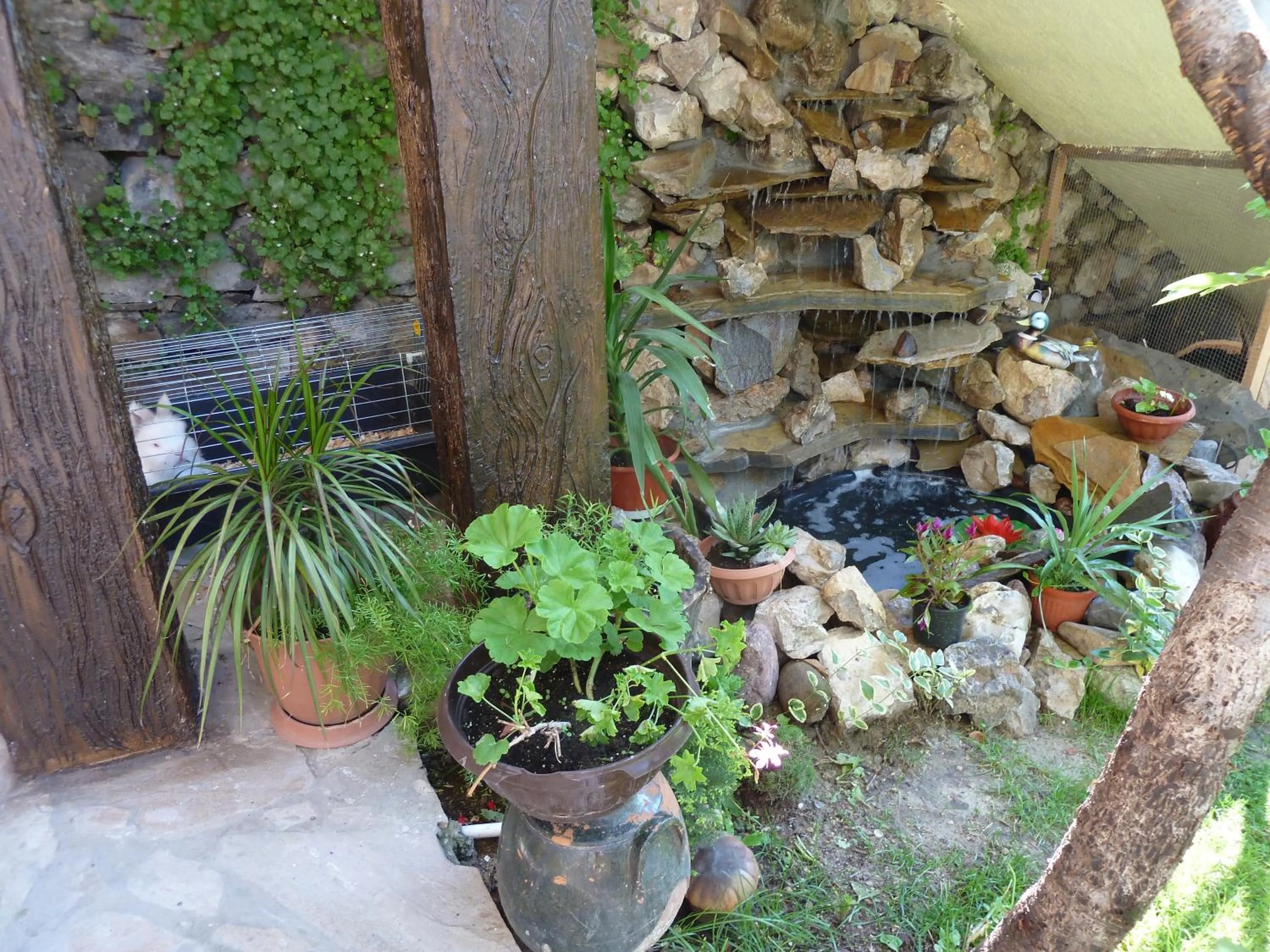 Garden in Hotel Anhea