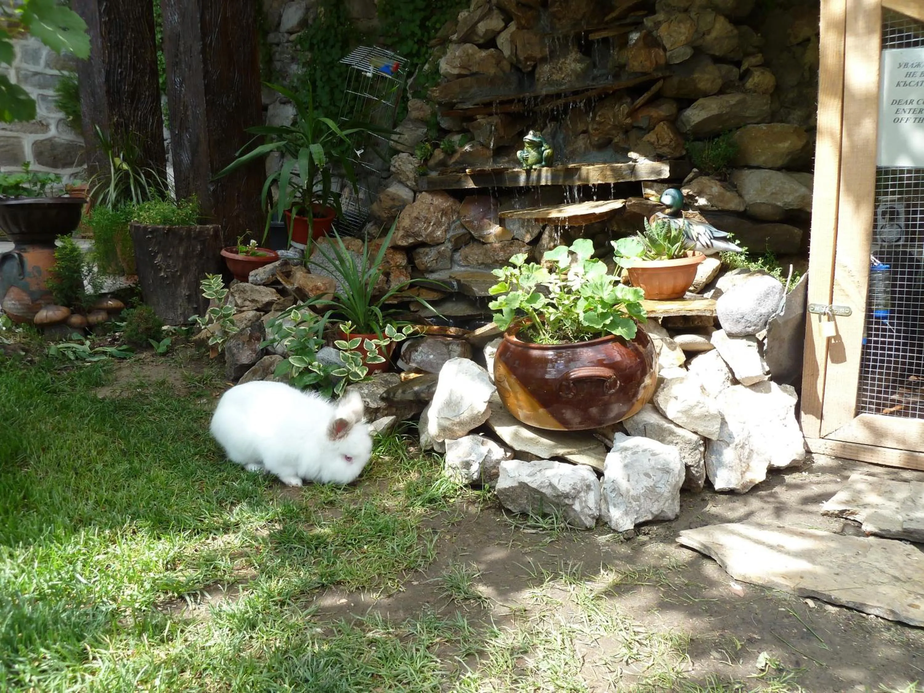 Spring in Hotel Anhea