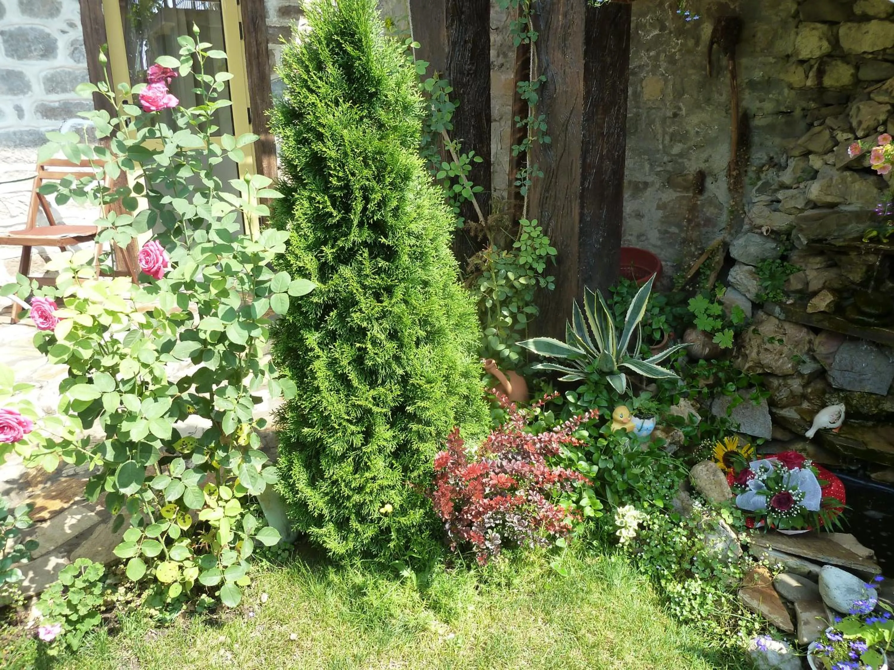 Garden in Hotel Anhea