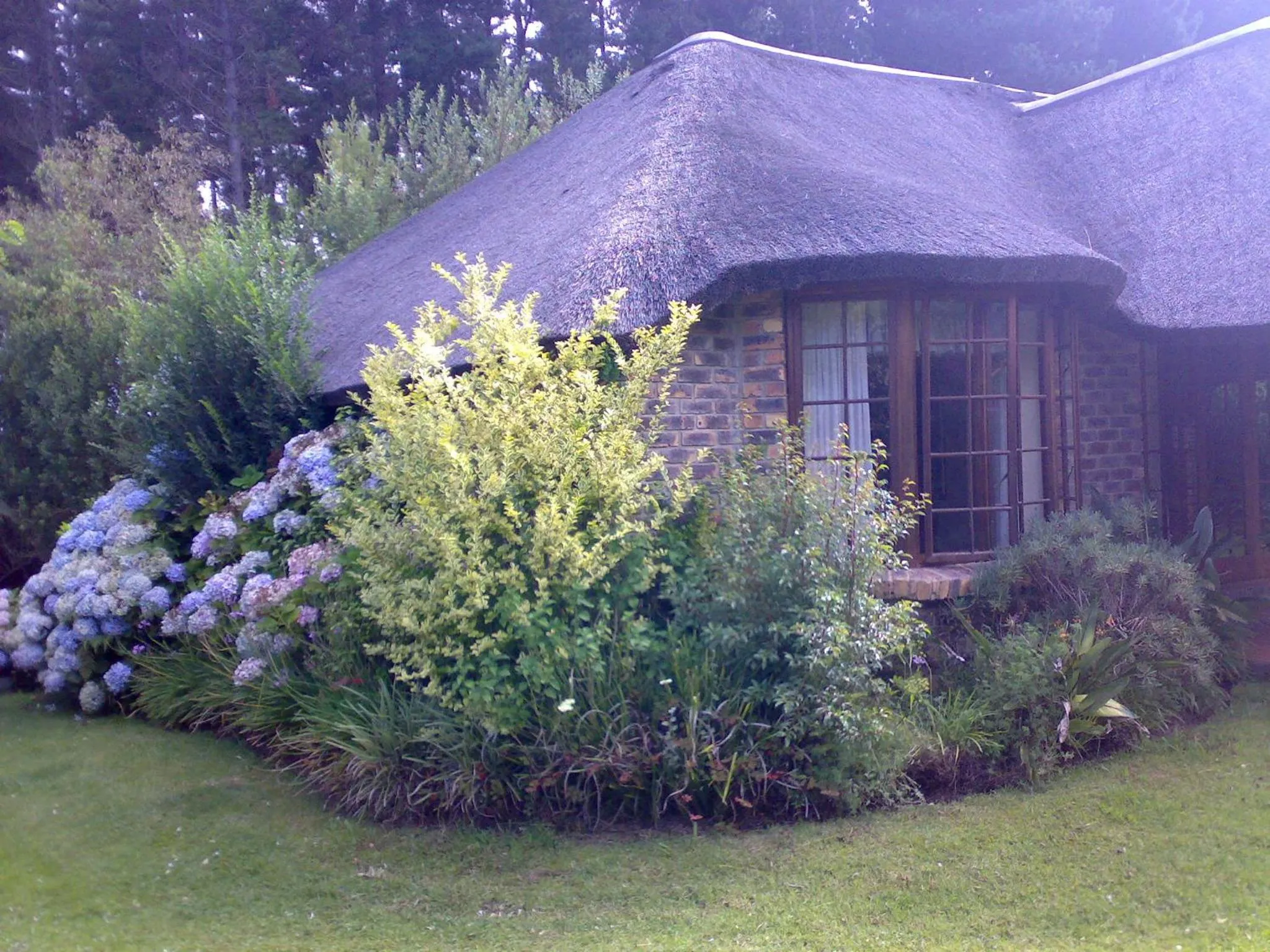 Garden in Coral Tree Cottages