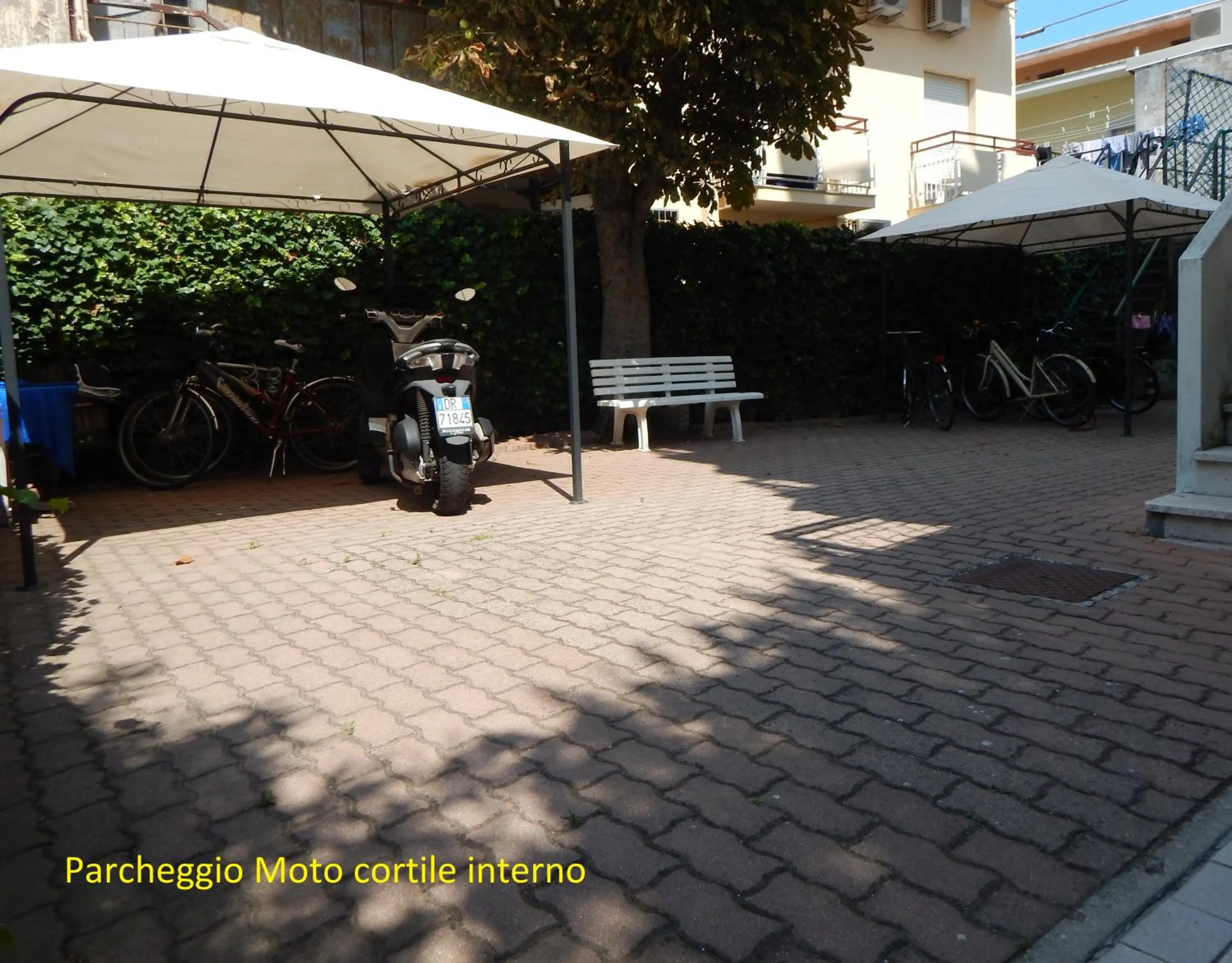 Garden in Hotel Vera