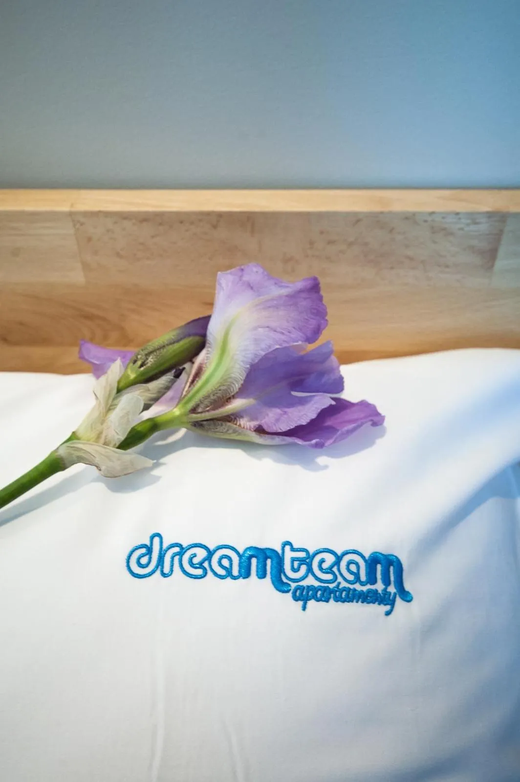 Property logo or sign in Dream Team Nordic Haven