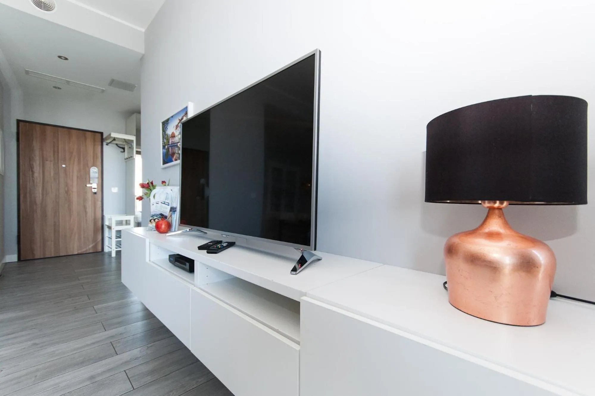 TV and multimedia in Dream Team Nordic Haven