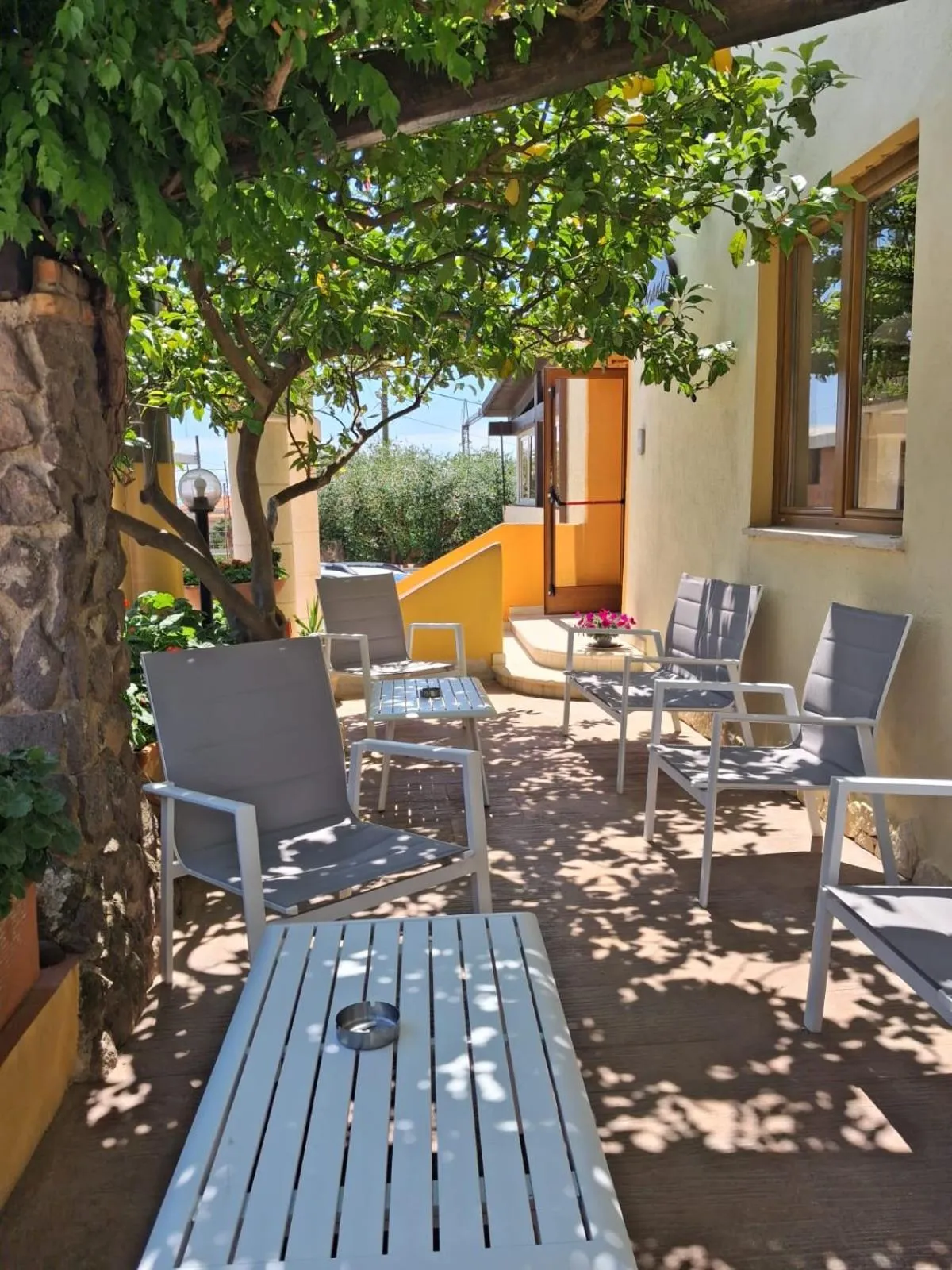 Property building in Hotel La Playa