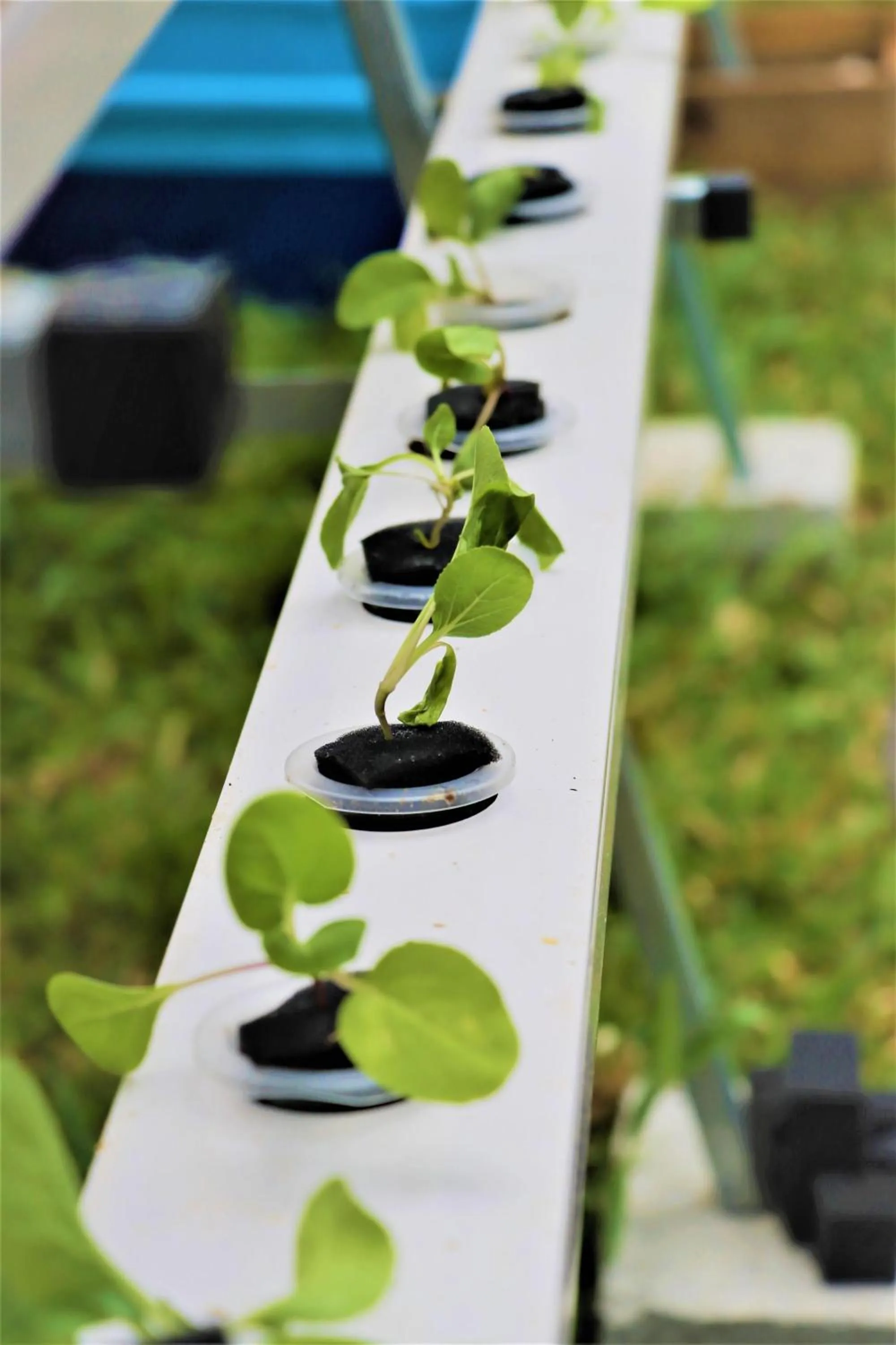Property building in Kempinski Seychelles Resort