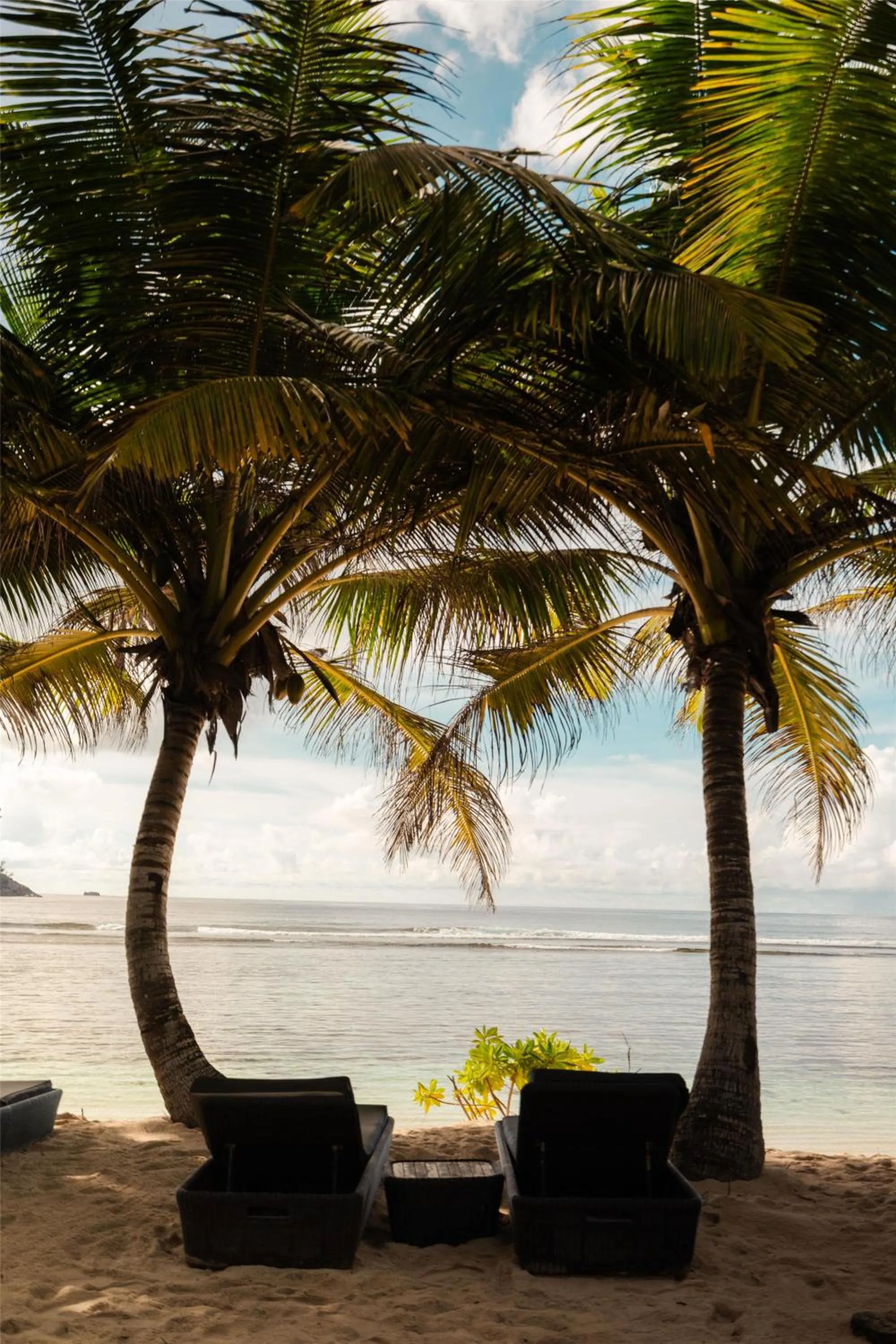 Beach in Kempinski Seychelles Resort