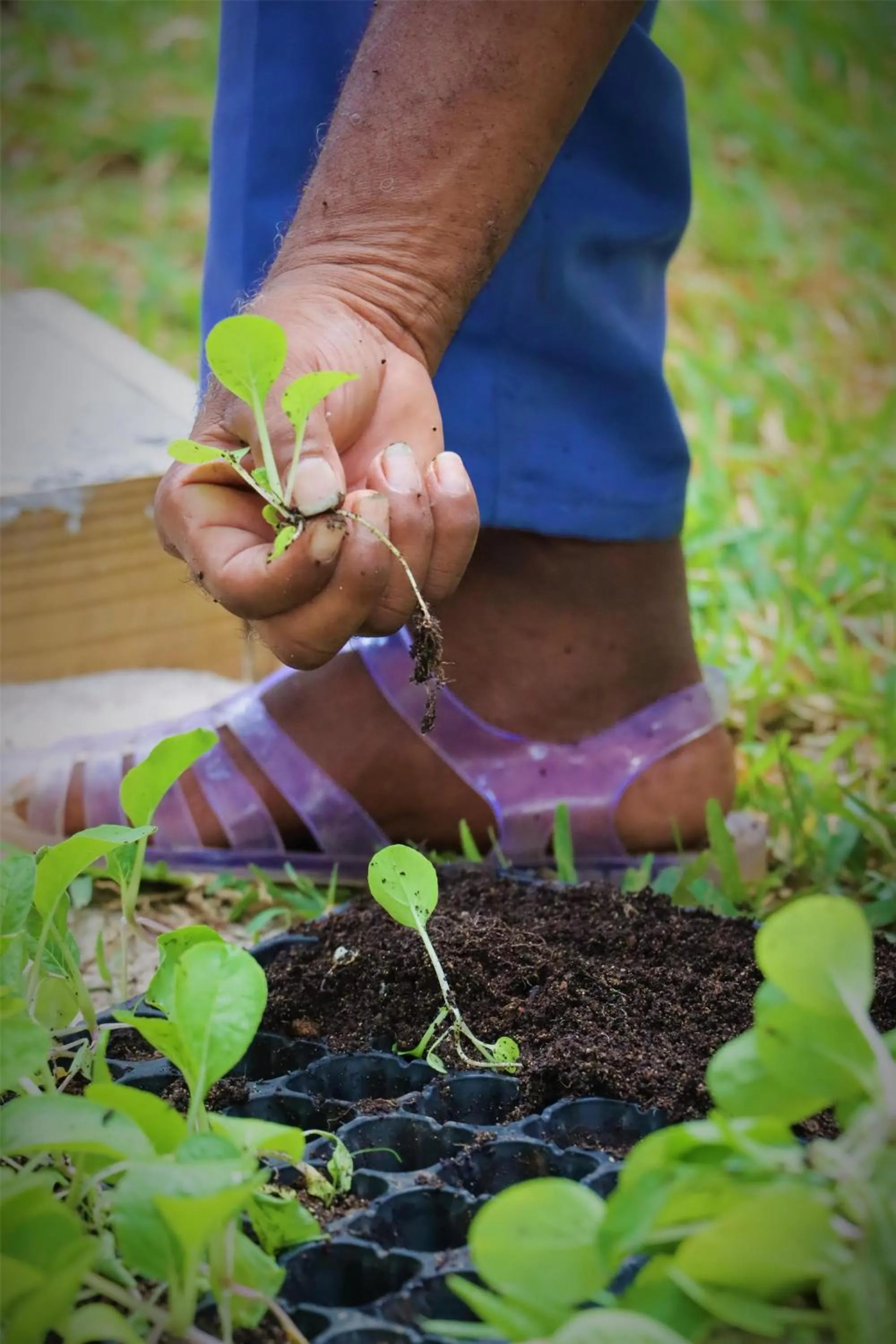 Property building in Kempinski Seychelles Resort